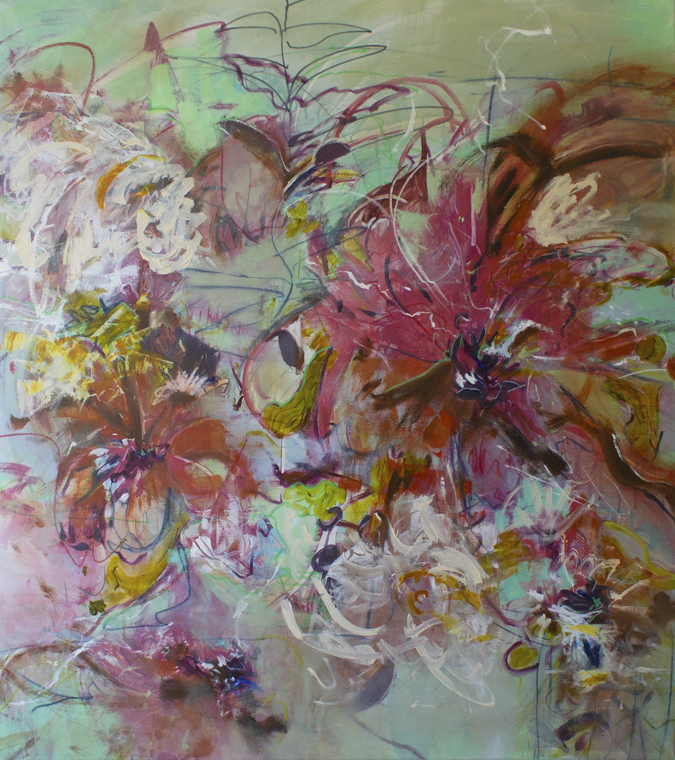 Bloom Bloom Baby- Shelley Cooper