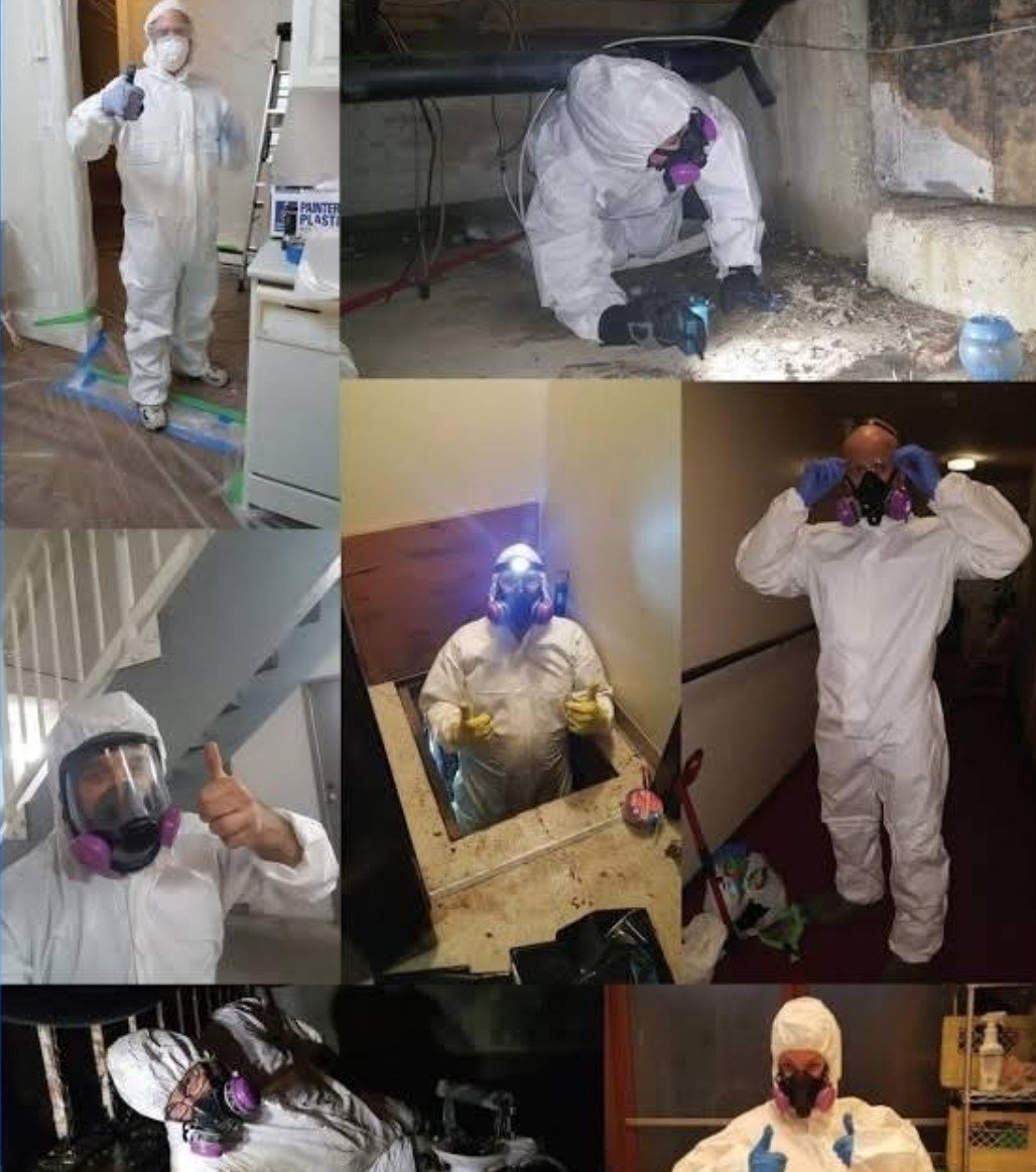 Compilation of trauma cleaners on the job