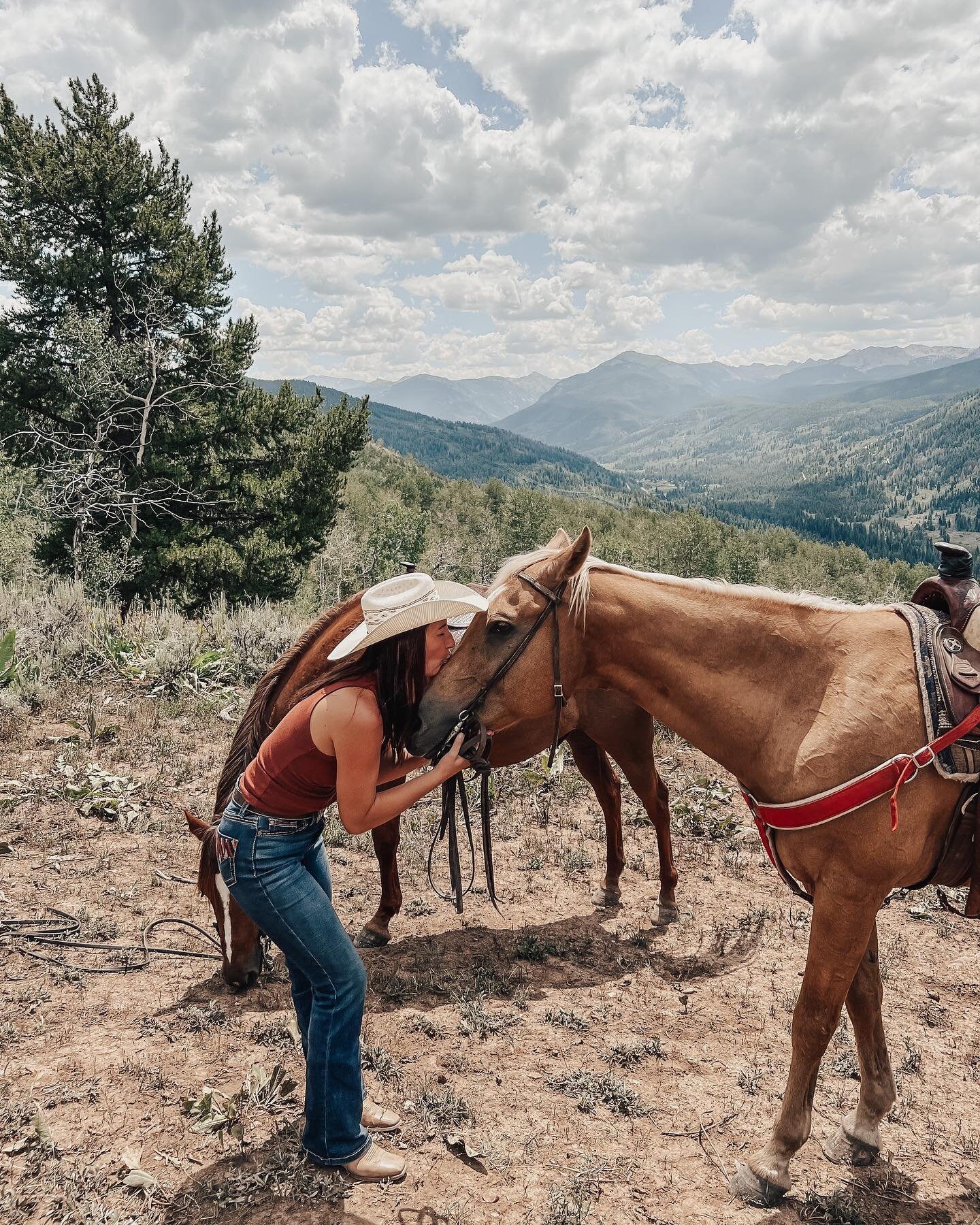 **warning: bit of a sad story**
There&rsquo;s something so special about horses. They are some of the most sensitive and empathic creatures on our planet. They FEEL things, big. If you&rsquo;re having a bad day, or if another horse in their herd is s