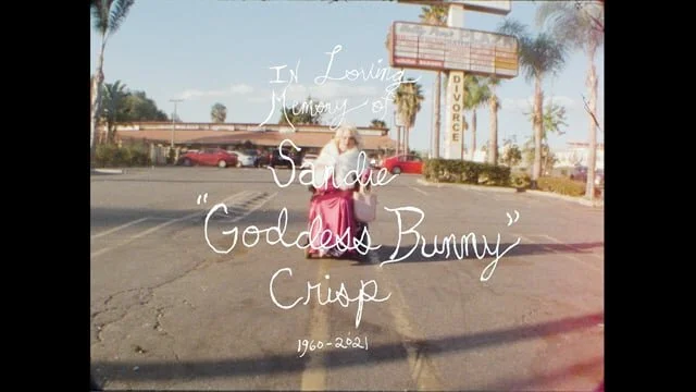 The Black Lips "Gentleman" Video Premiere + Fall 2021 EU Tour Announcement