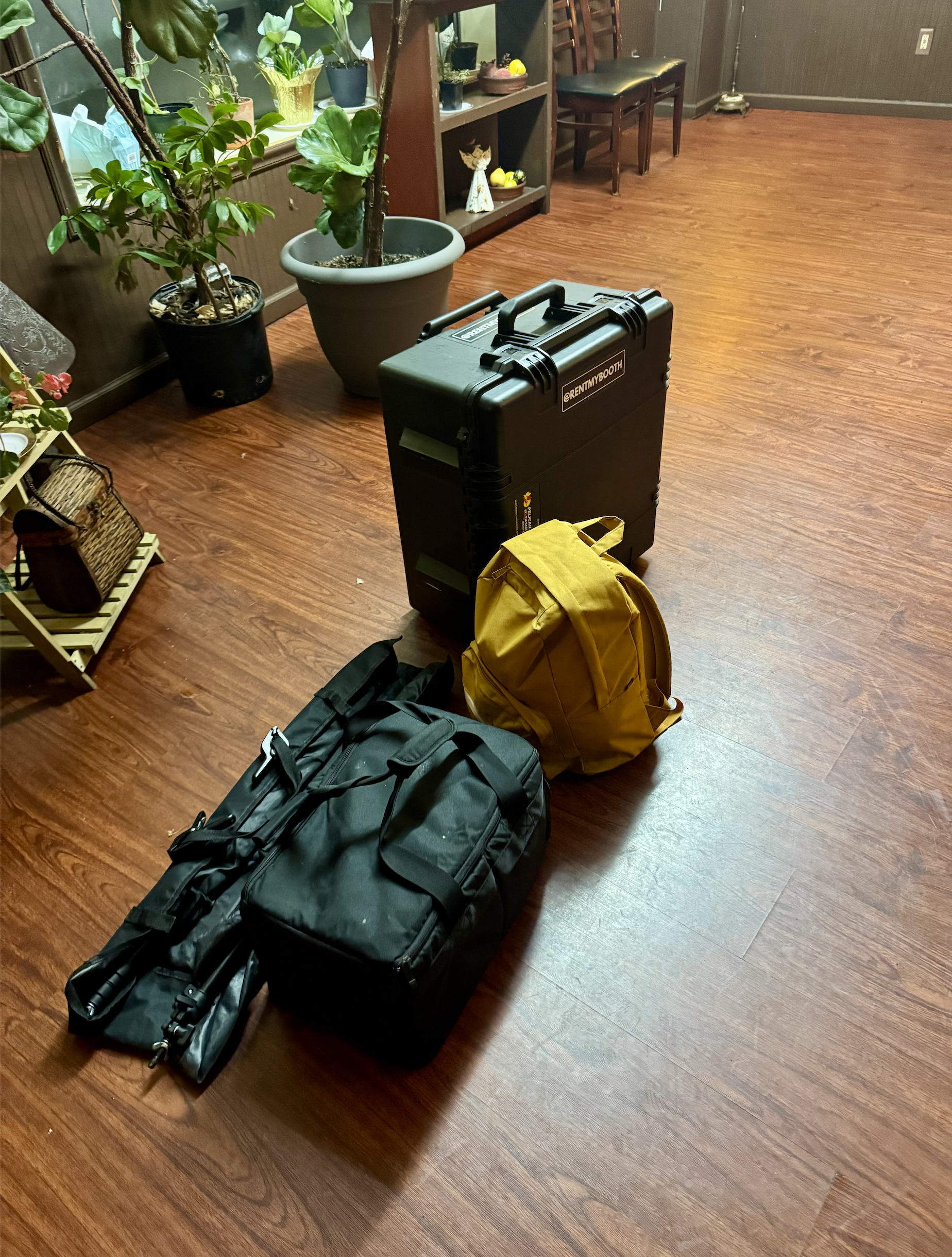 Indoor scene with travel bags and a pelican case on wooden floor, surrounded by potted plants and chairs.