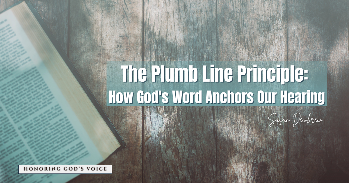 The Plumb Line Principle: How God's Word Anchors Our Hearing&nbsp;