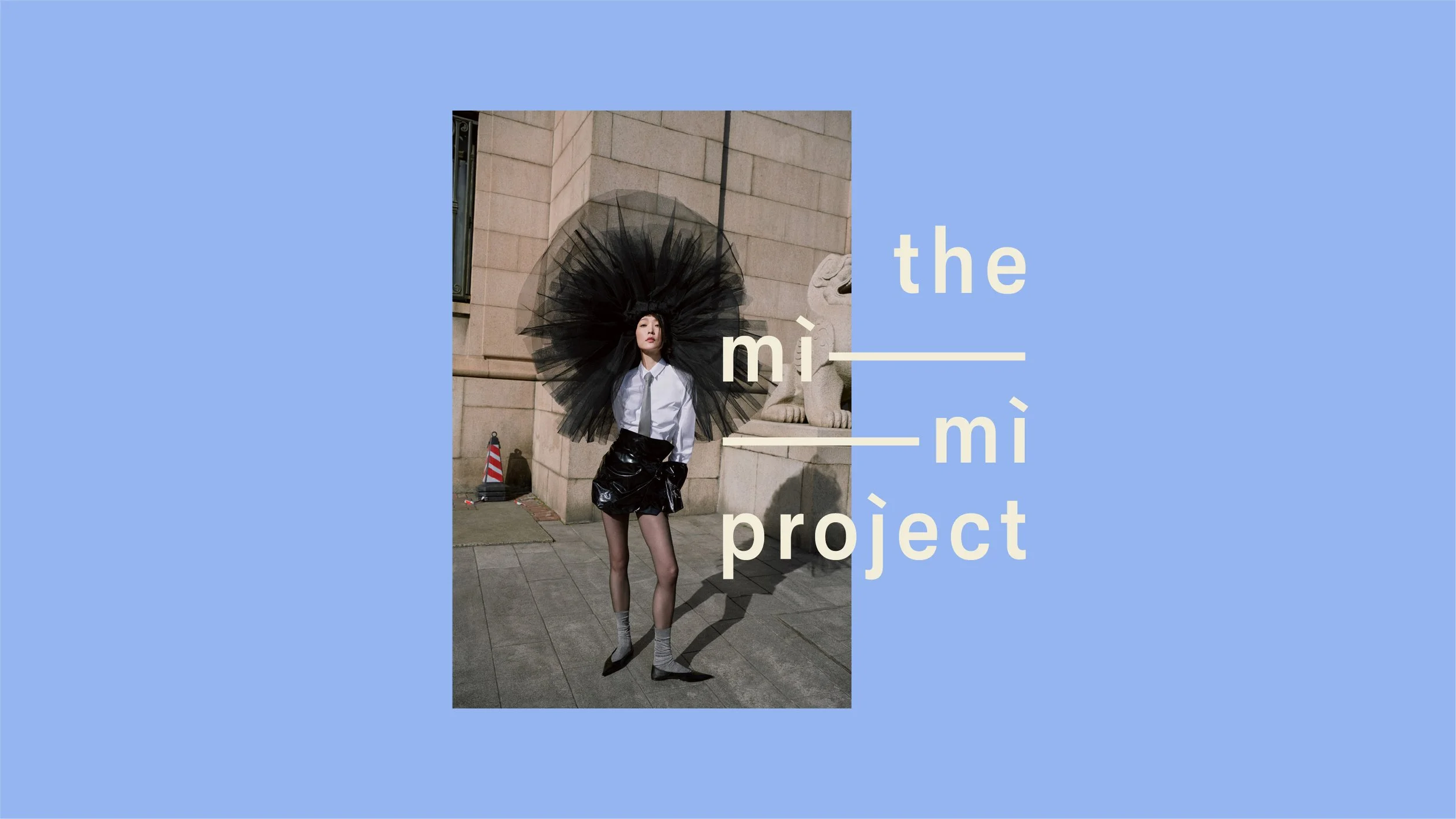 the mi-mi project