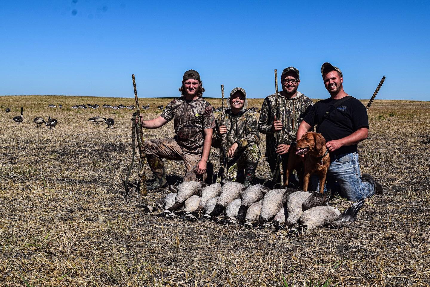 North Dakota early season is just around the corner. Have you heard about their new electronic posting? 

Follow @wadsworthwaterfowlco for more content like this.