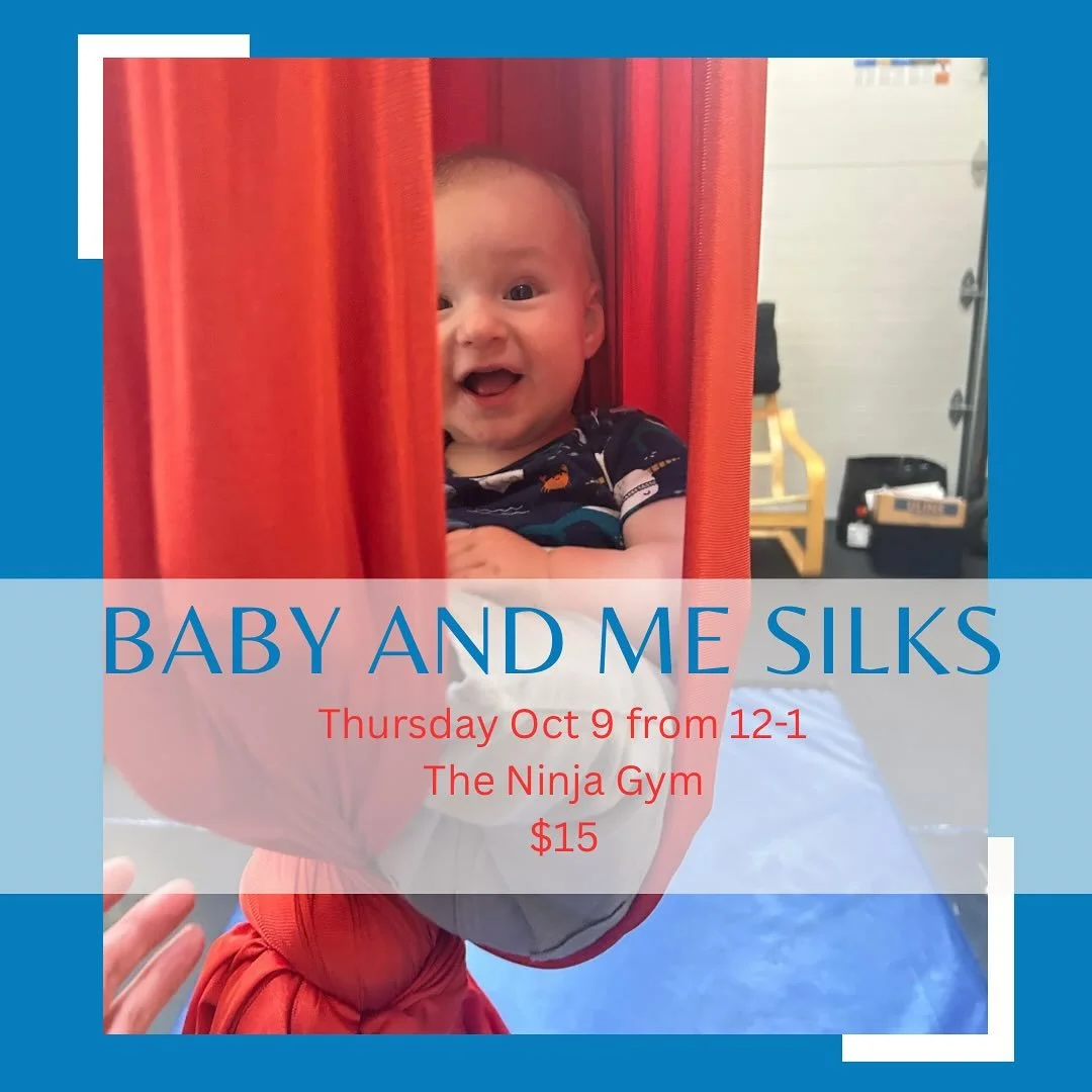 Try it out baby and me aerial silks next Thursday Oct 9! $15 for 1 hour (12-1), the ninja gym near ground up, intro level no experience needed. This class will be a go at your own pace experience with invitations to try a variety of movements, and sa