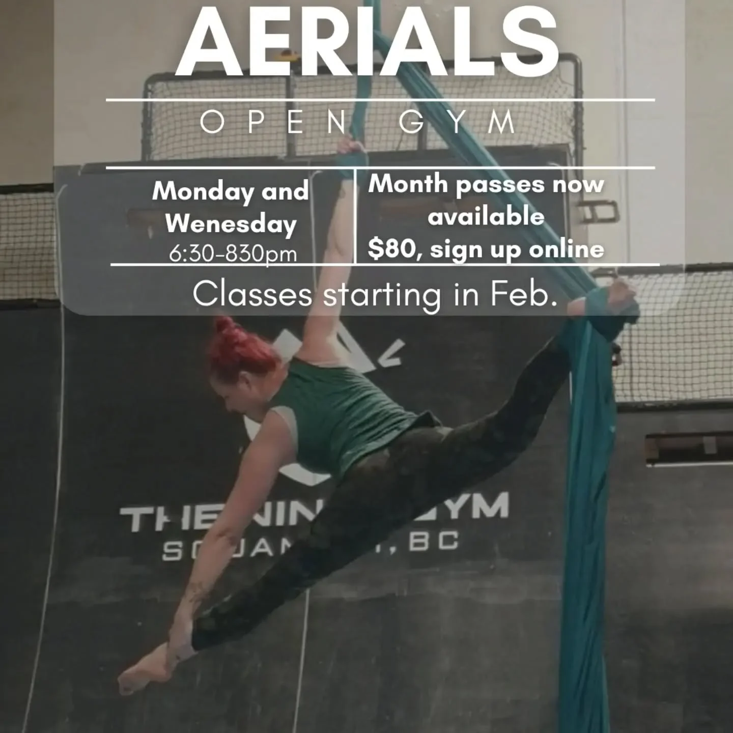 Hey all, we are doing a soft start into 2026, with drop in Aerials available on Monday and Wednesday nights from 630-830pm at the Ninja gym. 

Sign up online now for a month pass for Monday, or Wednesday nights for 80 dollars.

Individual evening dro