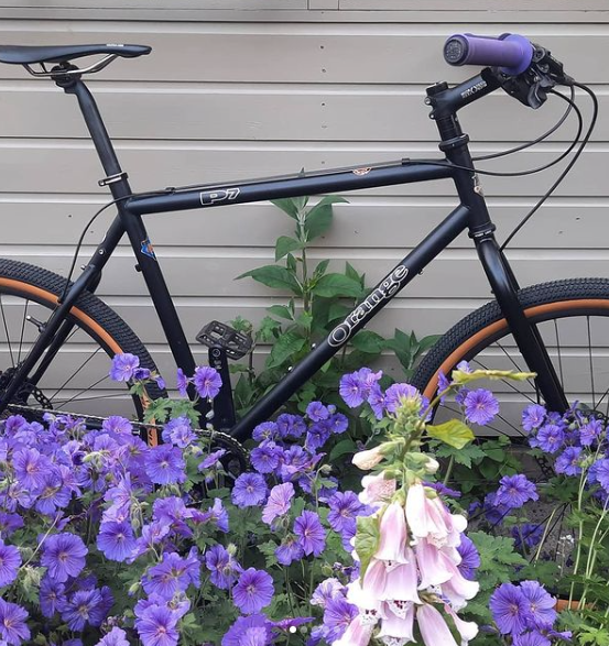 Screenshot 2021-06-16 at 12.37.11.png