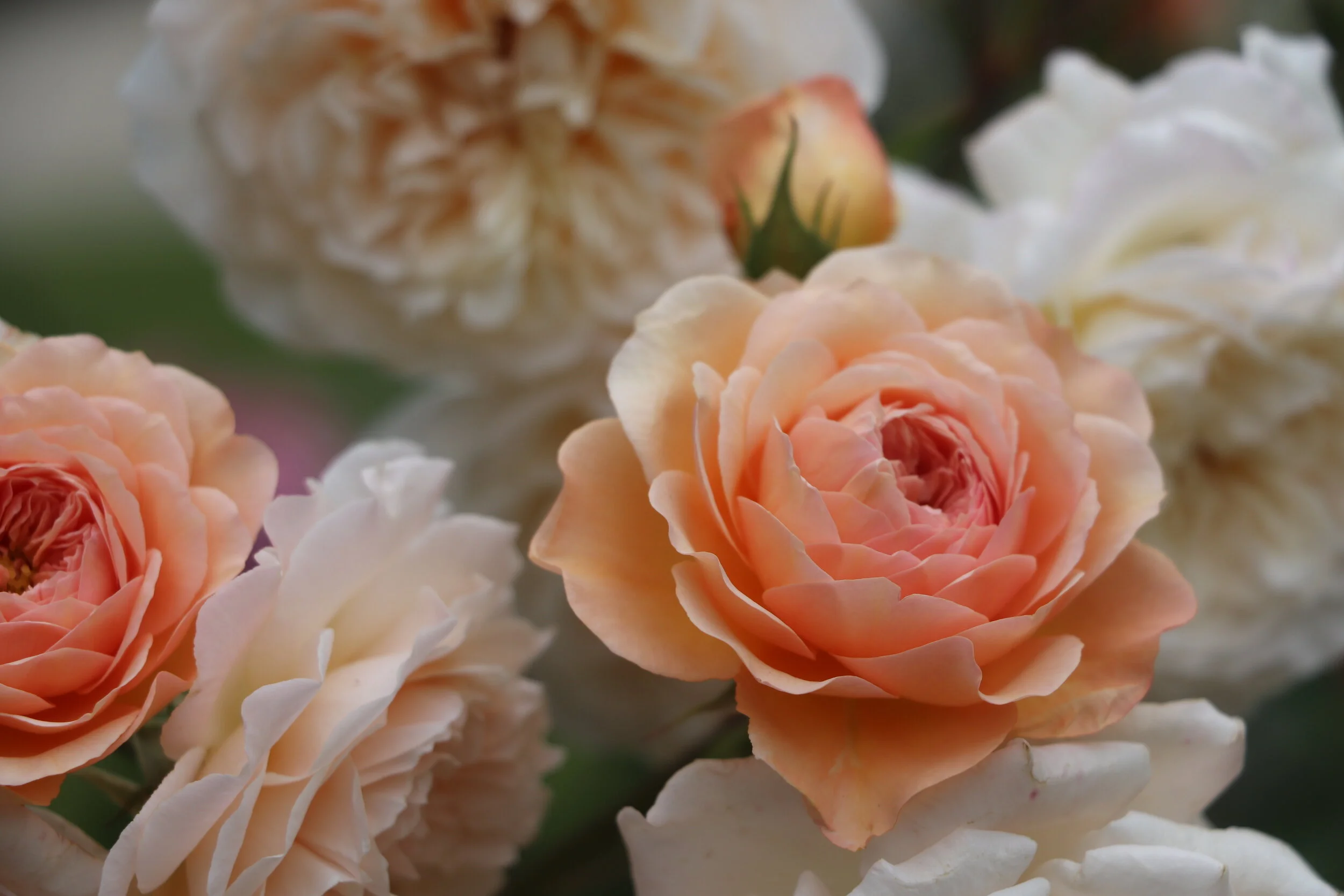 June, 2019 | Paris, France