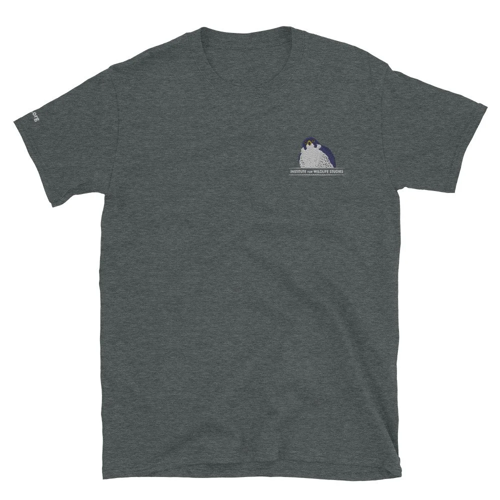unisex-basic-softstyle-t-shirt-dark-heather-front-64d2b8837de1d.jpg