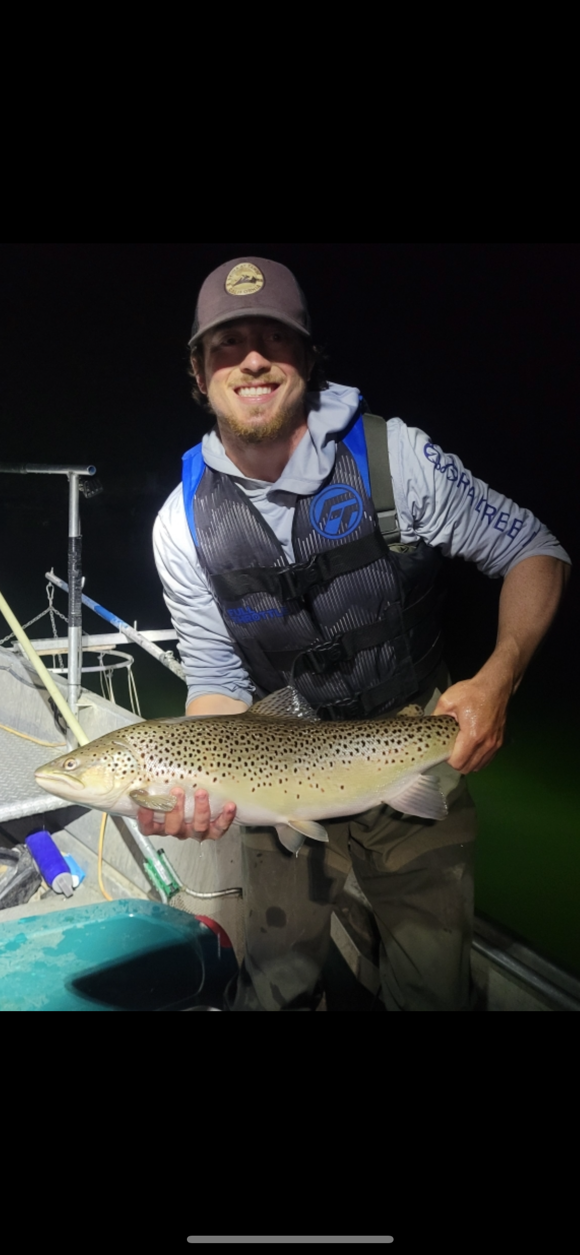 brown trout.PNG