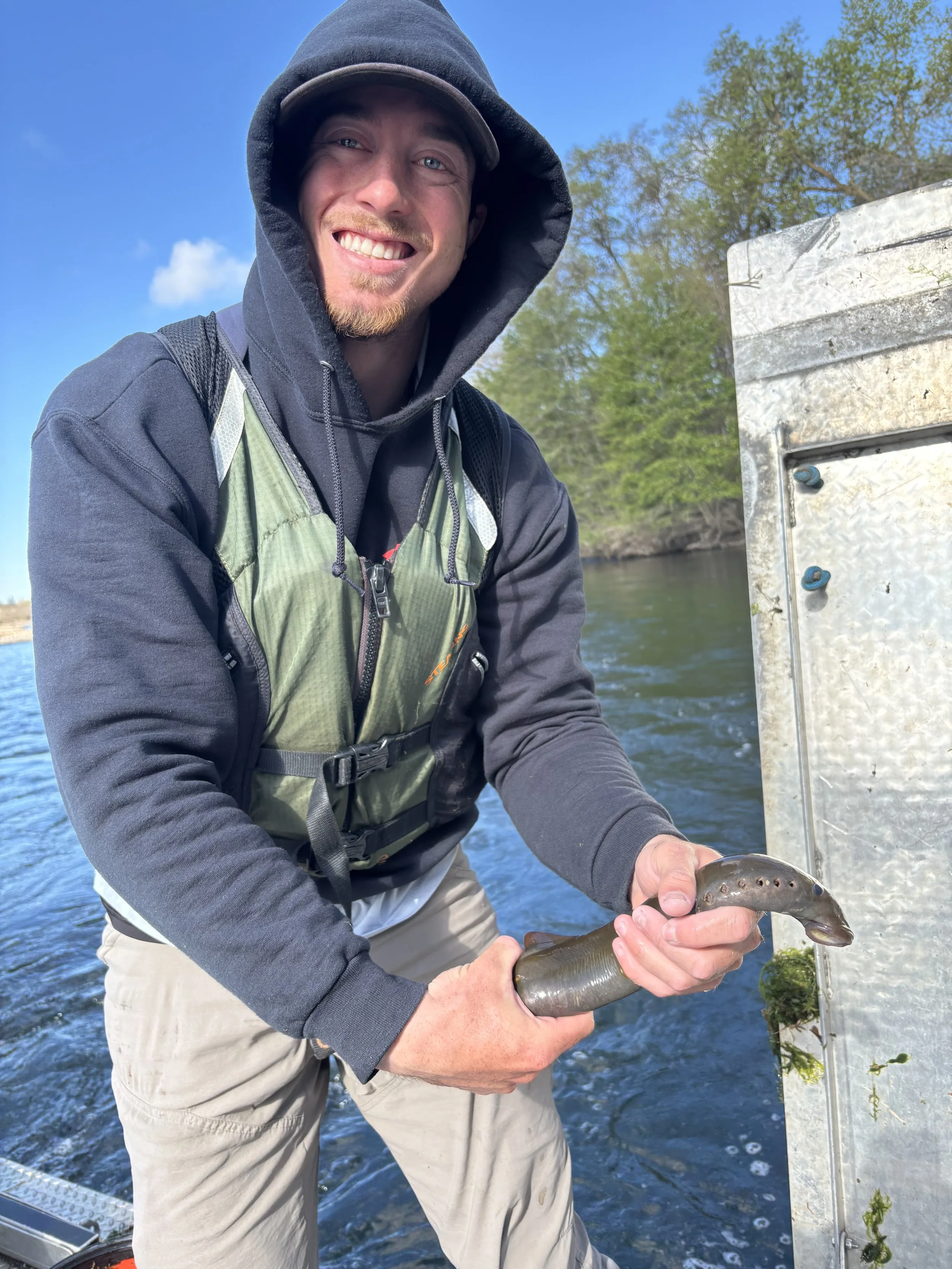 lamprey.jpg