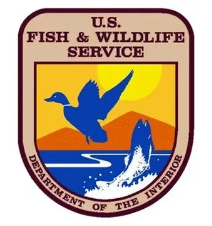 Screenshot 2022-08-31 133121.jpg