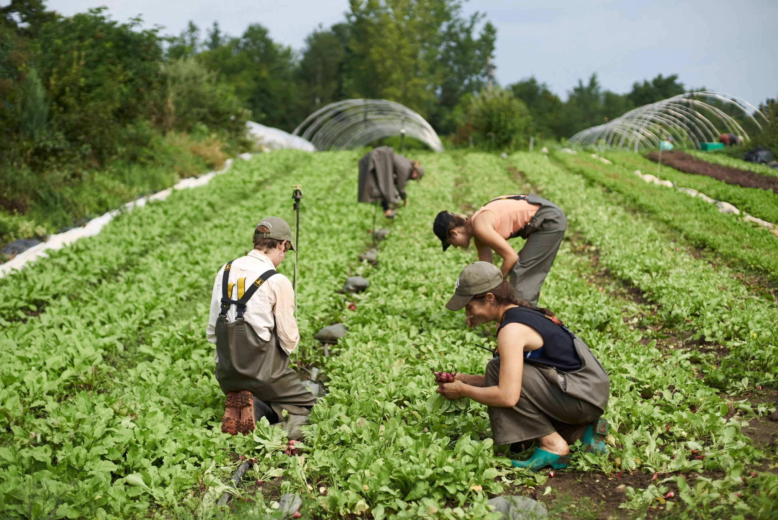 JeanMartin Fortier Agriculteur et Auteur