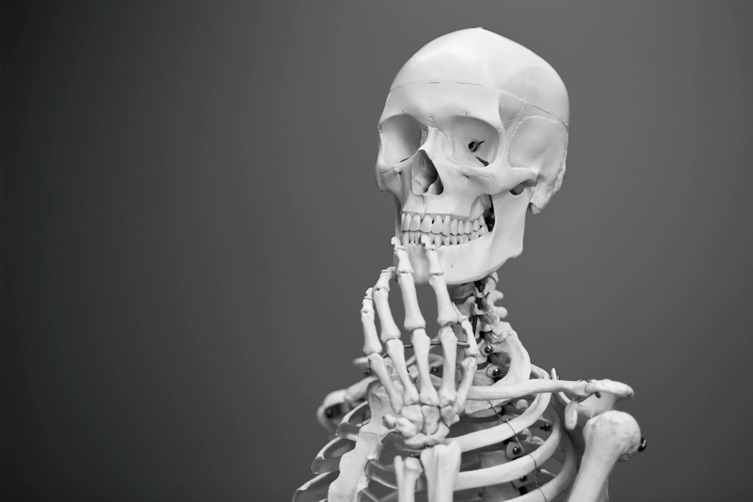 Listen to the Torah Sparks Podcast - Skeleton in the Back Seat and Holiness (Kedoshim)