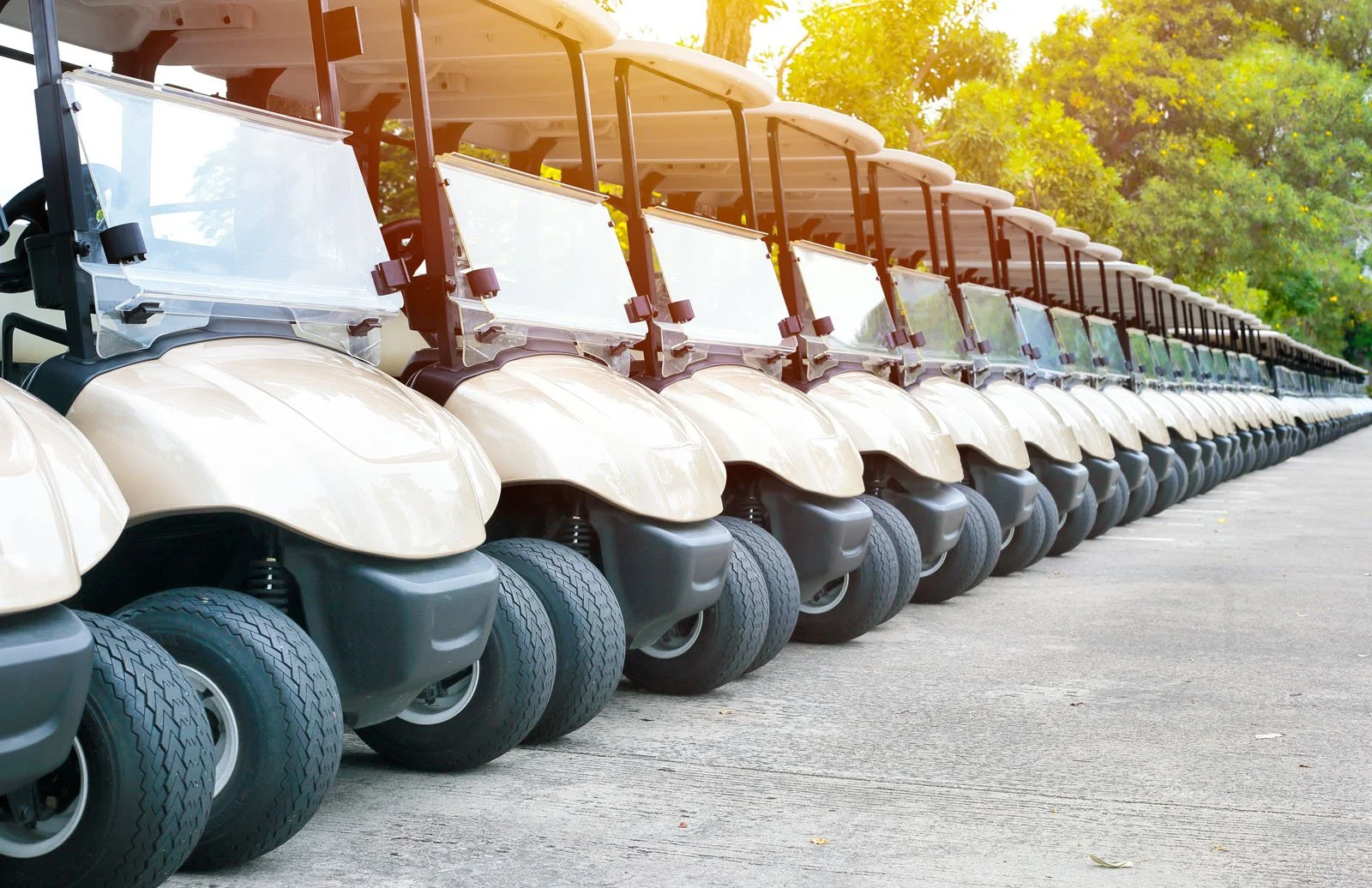 Golf Cart Jousting Rally