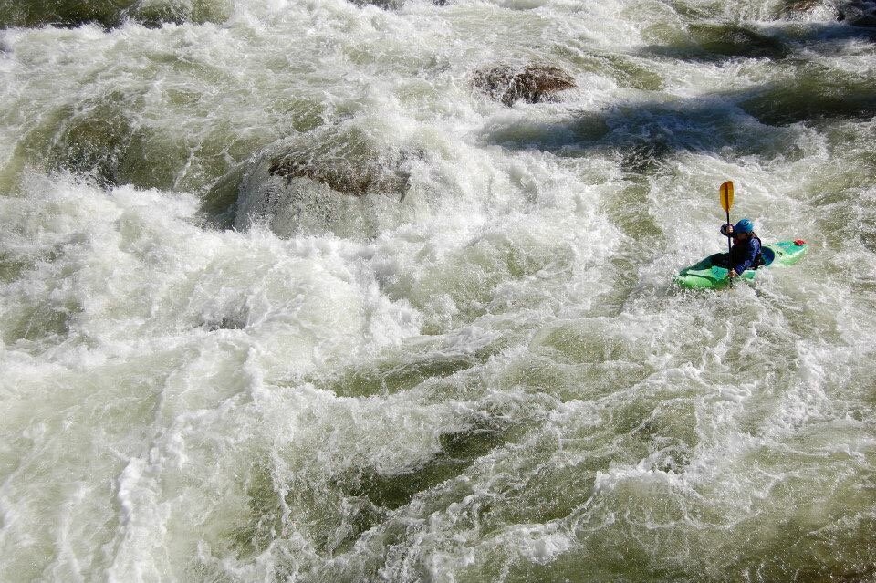  "The wildlife and scenery are so spectacular. I love to sit in camp during a multi-day run down the South Salmon canyon and watch what I call 'elk TV.'&nbsp;The hillsides are so lush and green in the springtime. Wildlife abounds throughout the canyo