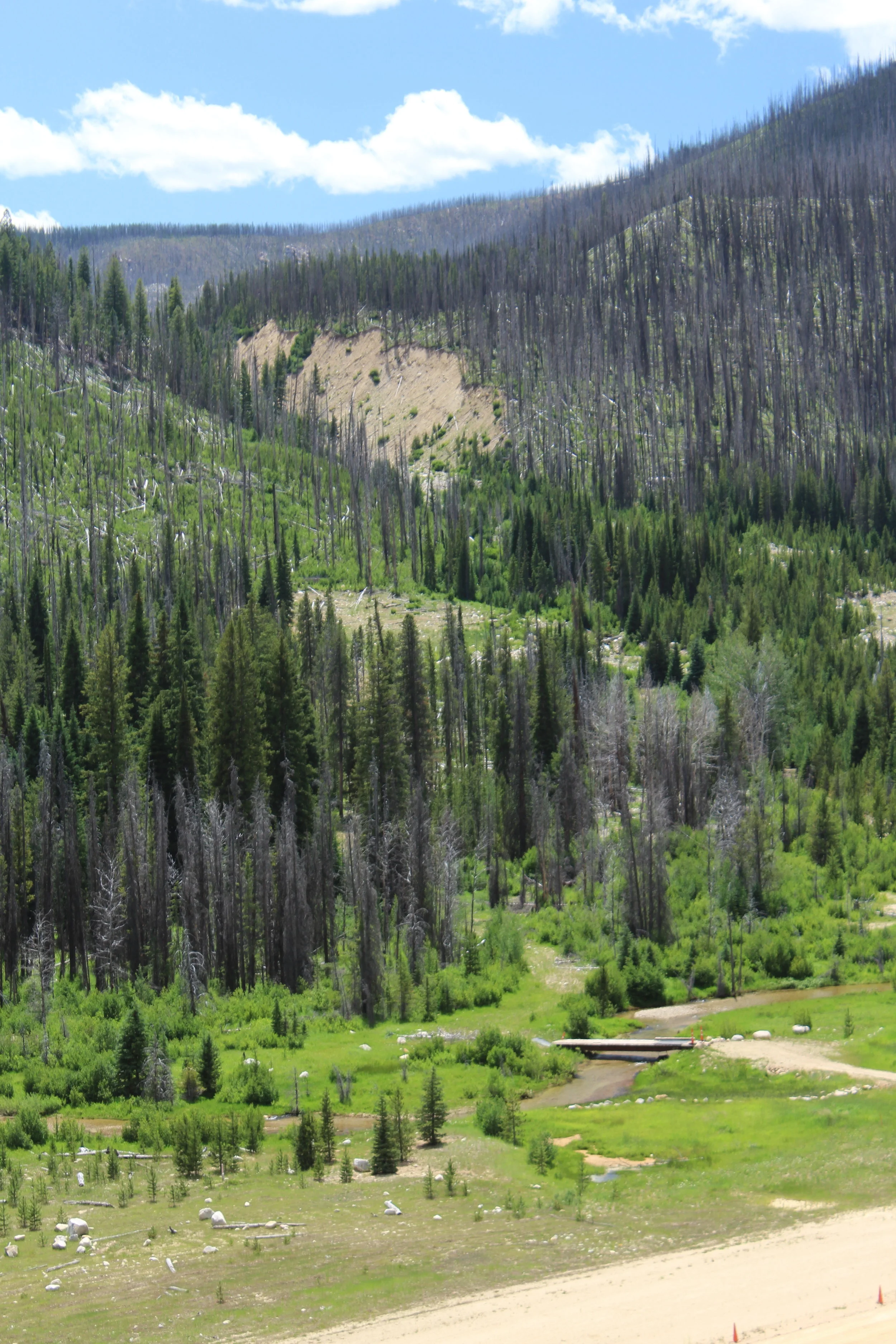 Repaired Meadow Creek 