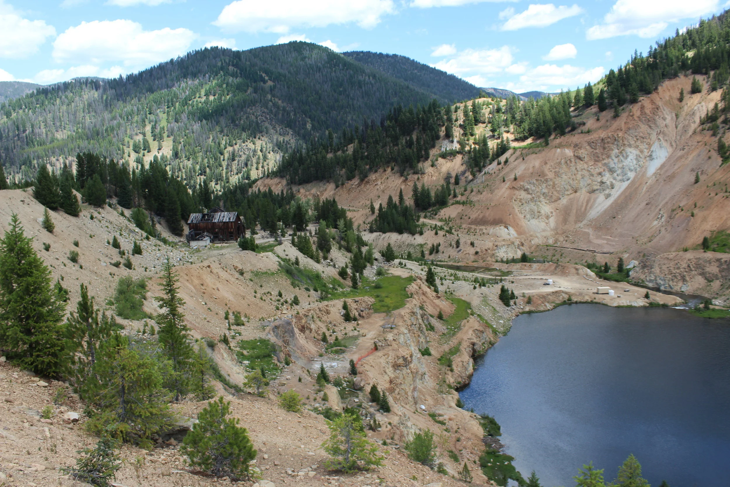 Yellow Pine Pit 