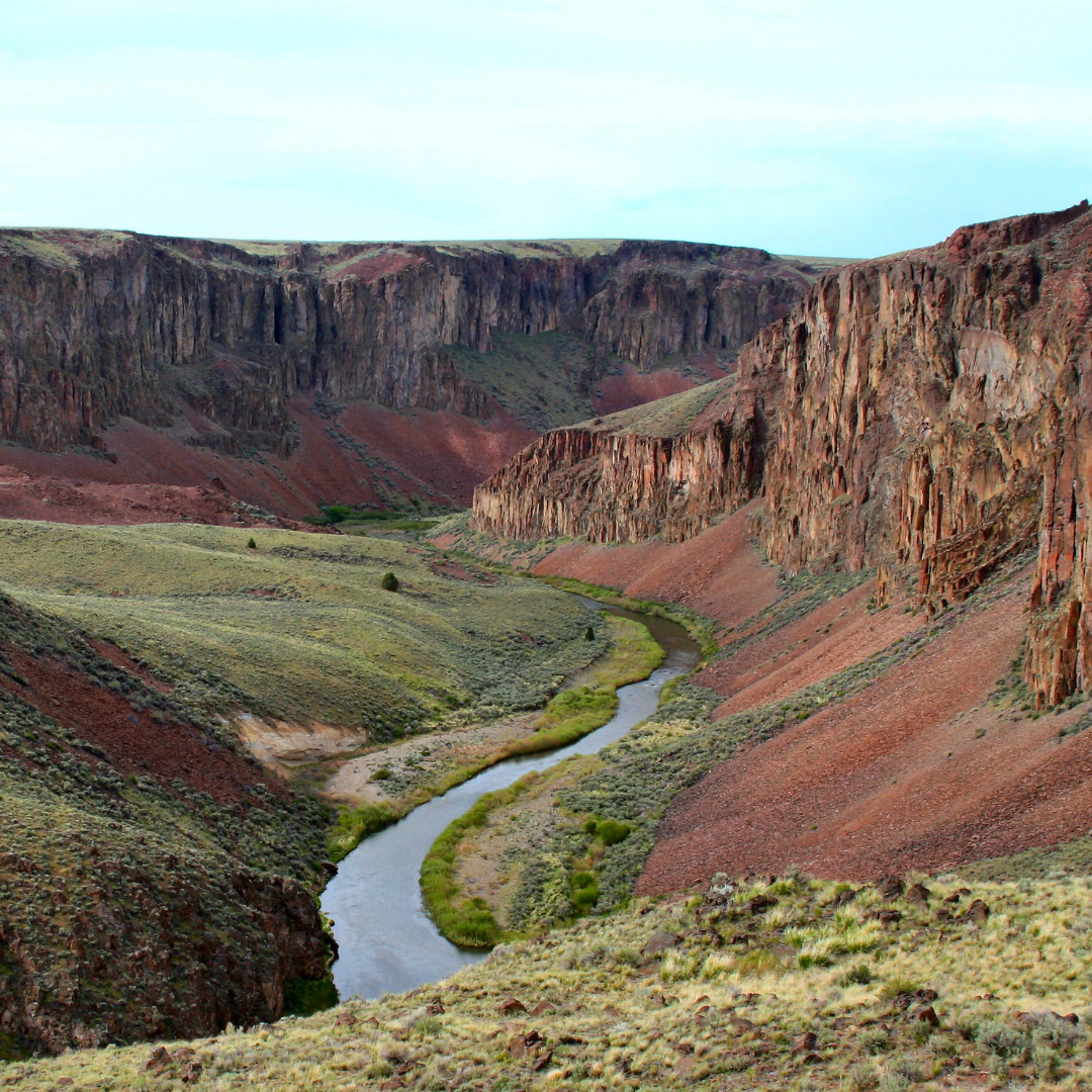 Take Action — Idaho Rivers United