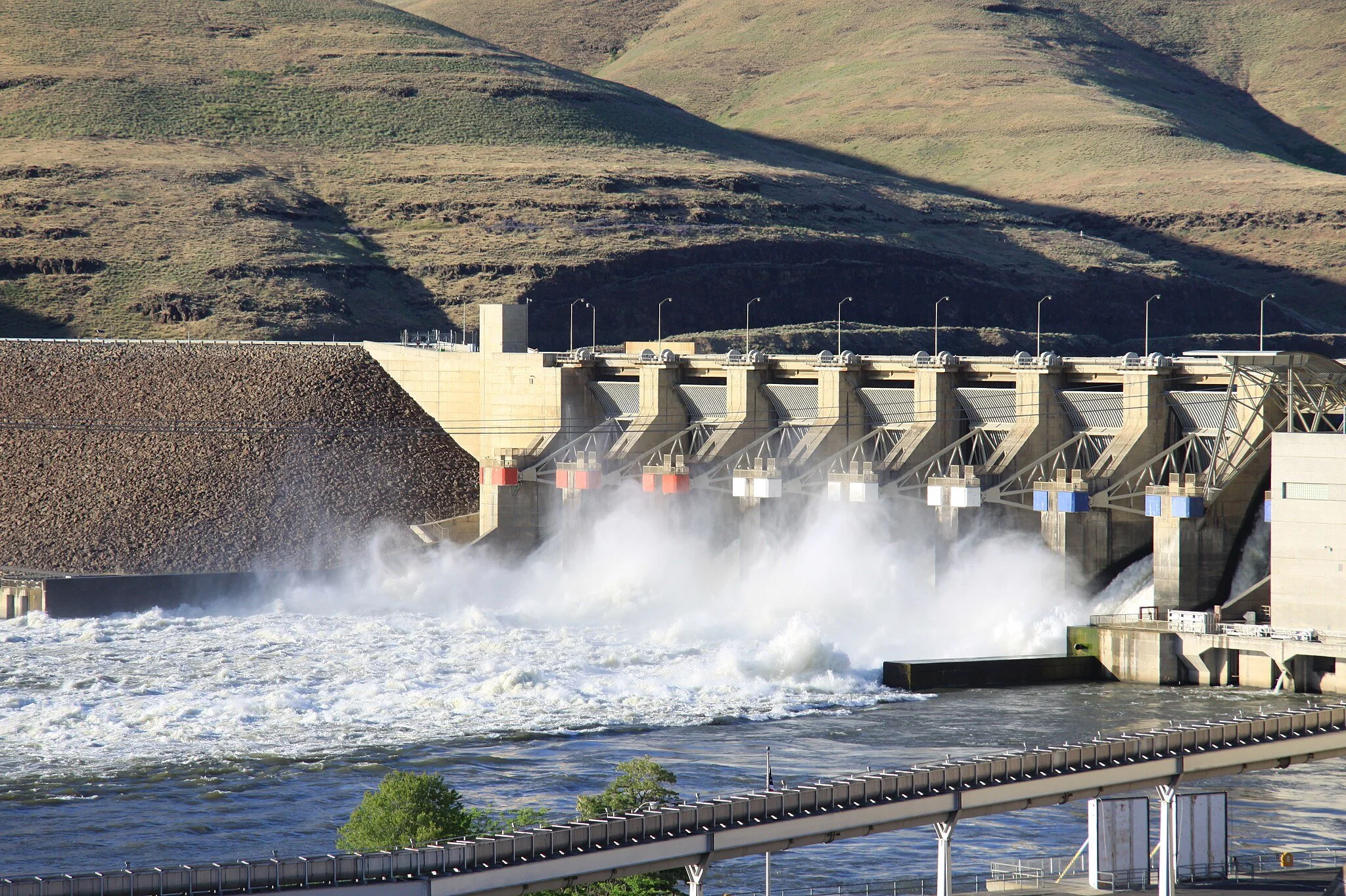 Court grants emergency measures to protect Columbia/Snake River salmon and steelhead