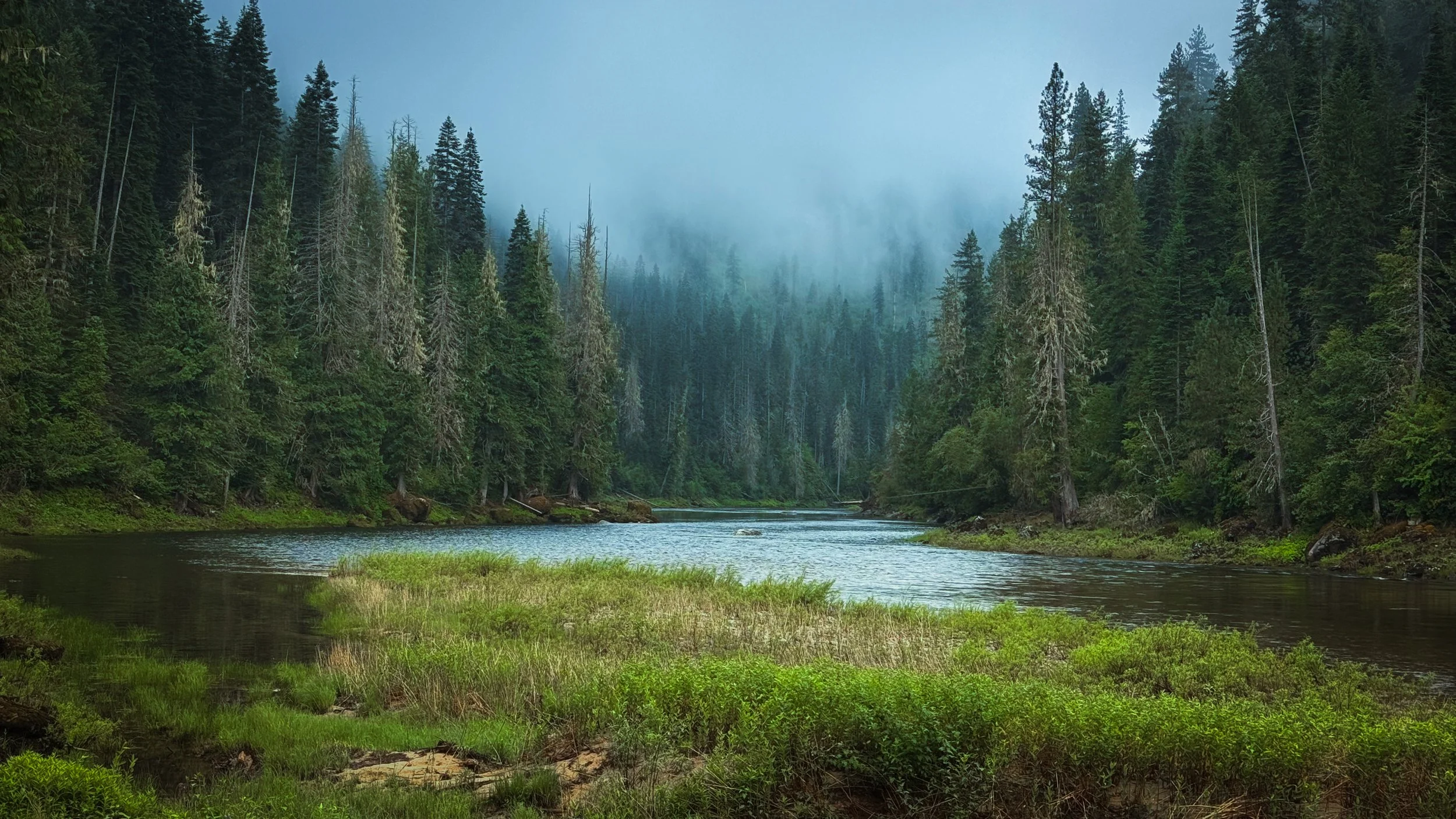Don't Let Them Scrap the Roadless Rule