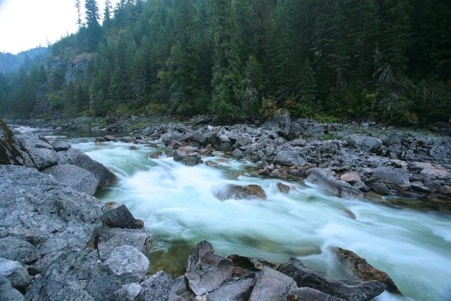 Lochsa Falls 04 @ Kevin Lewis.jpg