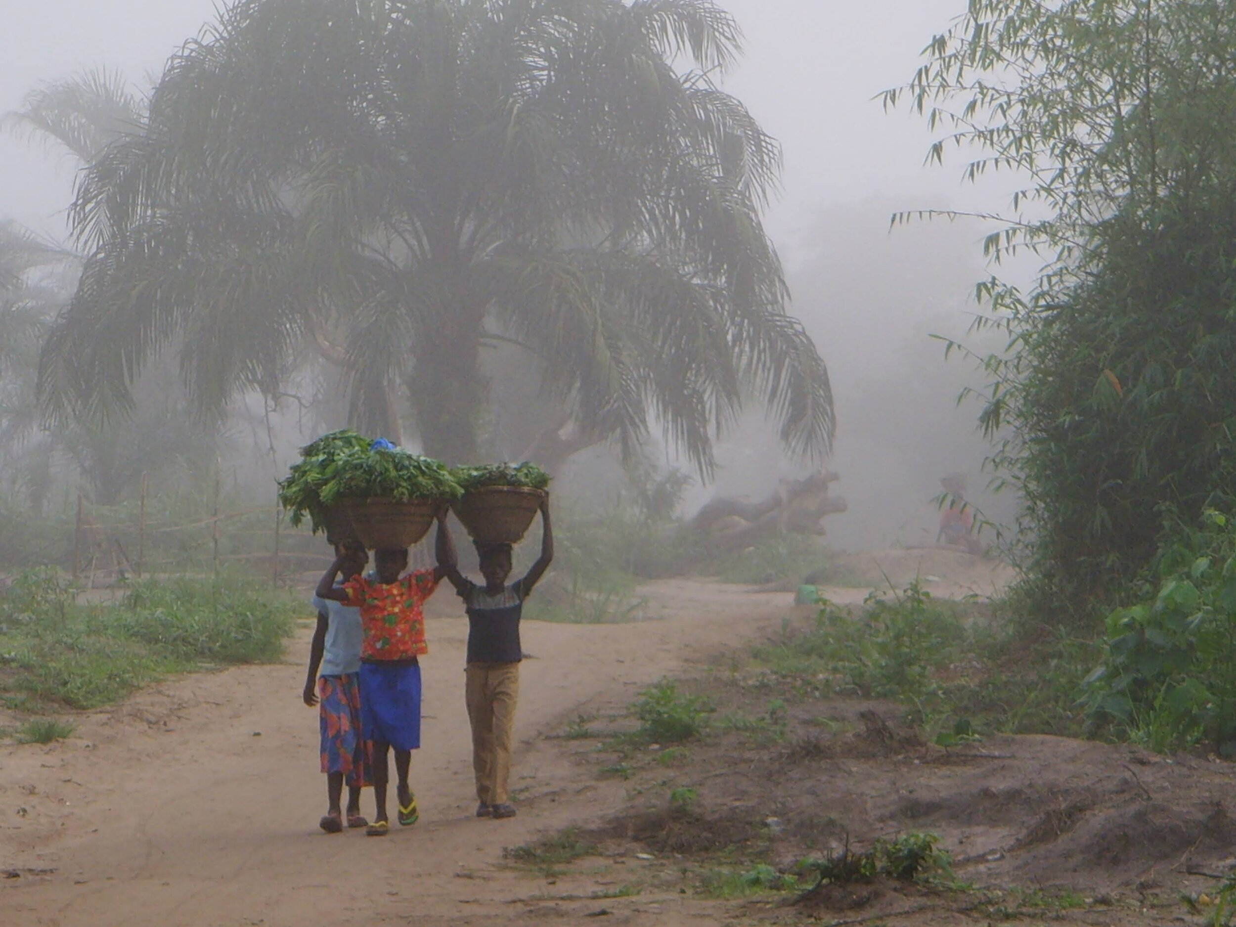 RDC aout 2007 301.jpg