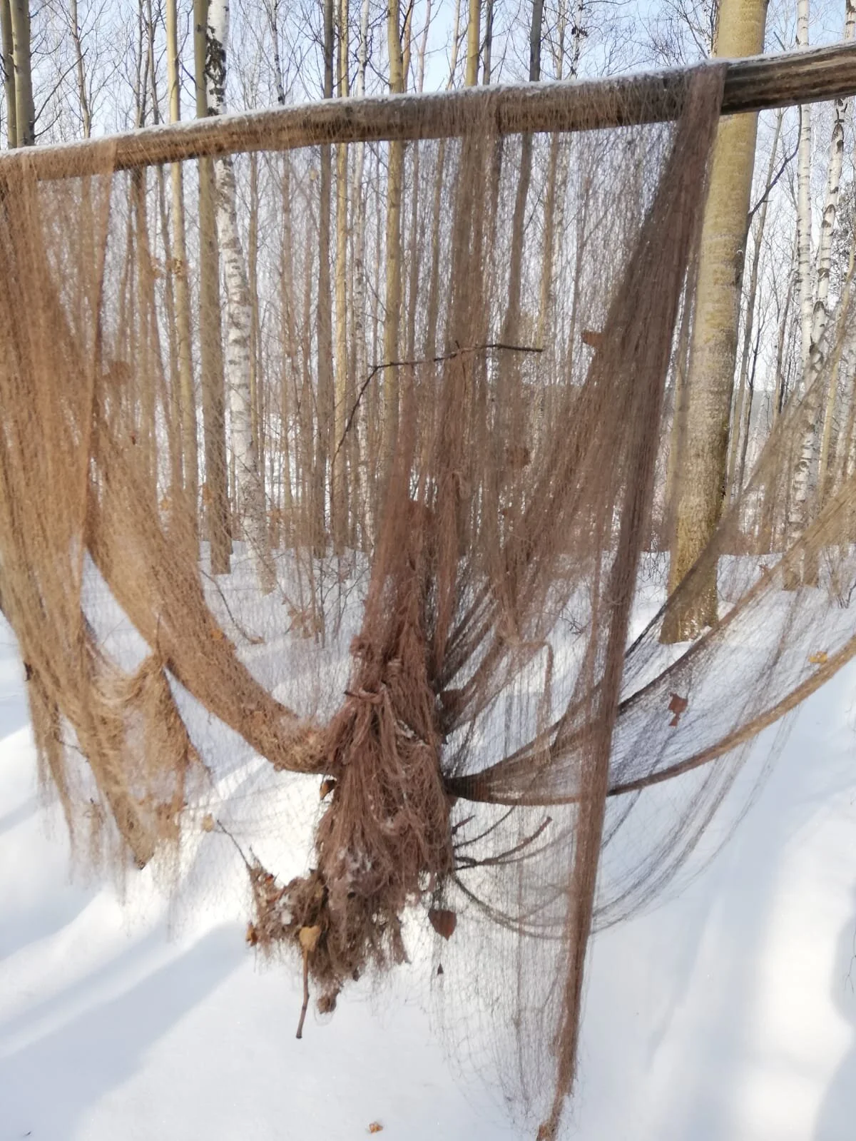 WhatsApp Image 2021-05-20 at 23.14.23(51).jpeg