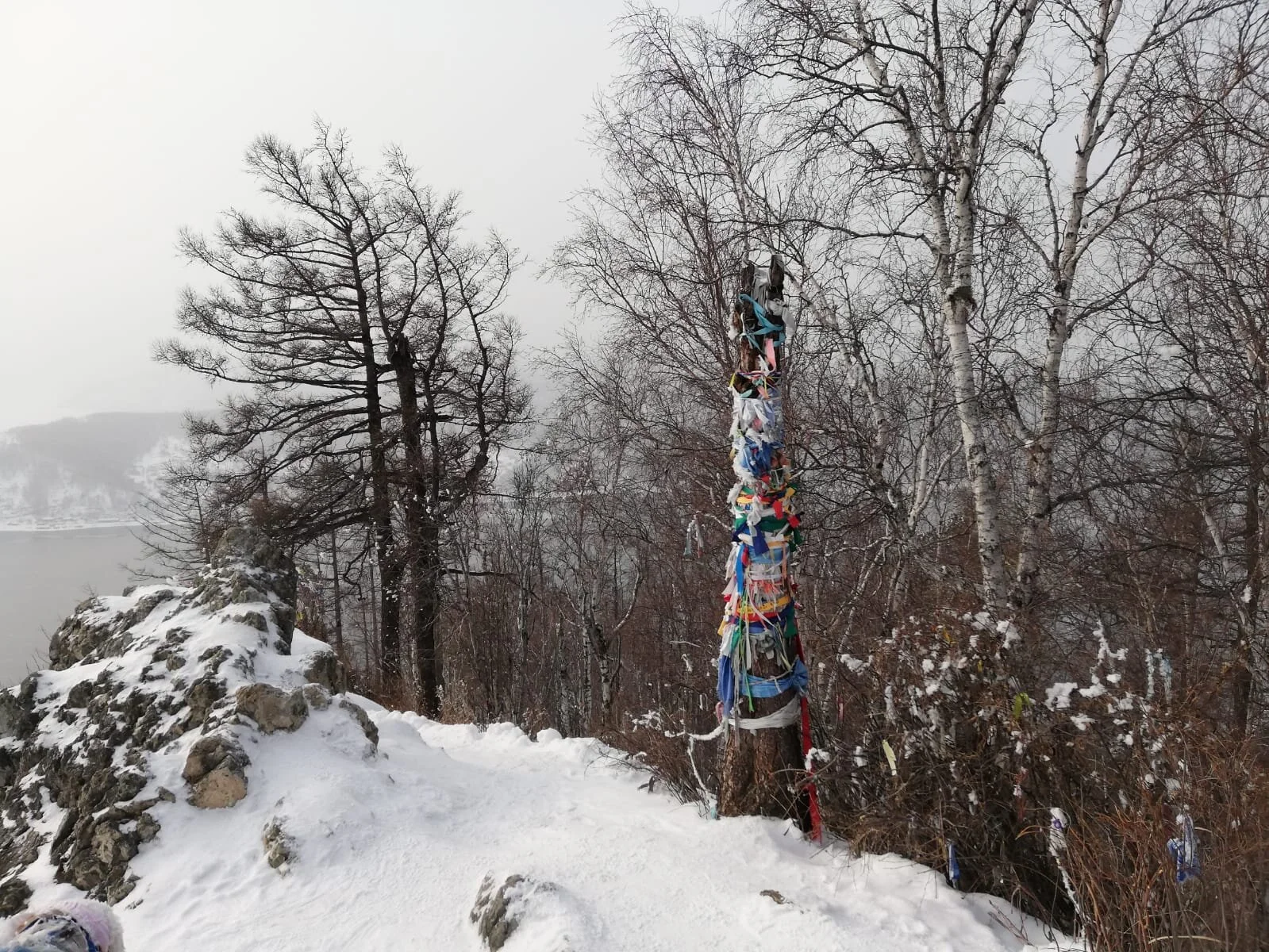 WhatsApp Image 2021-05-20 at 23.14.23(44).jpeg