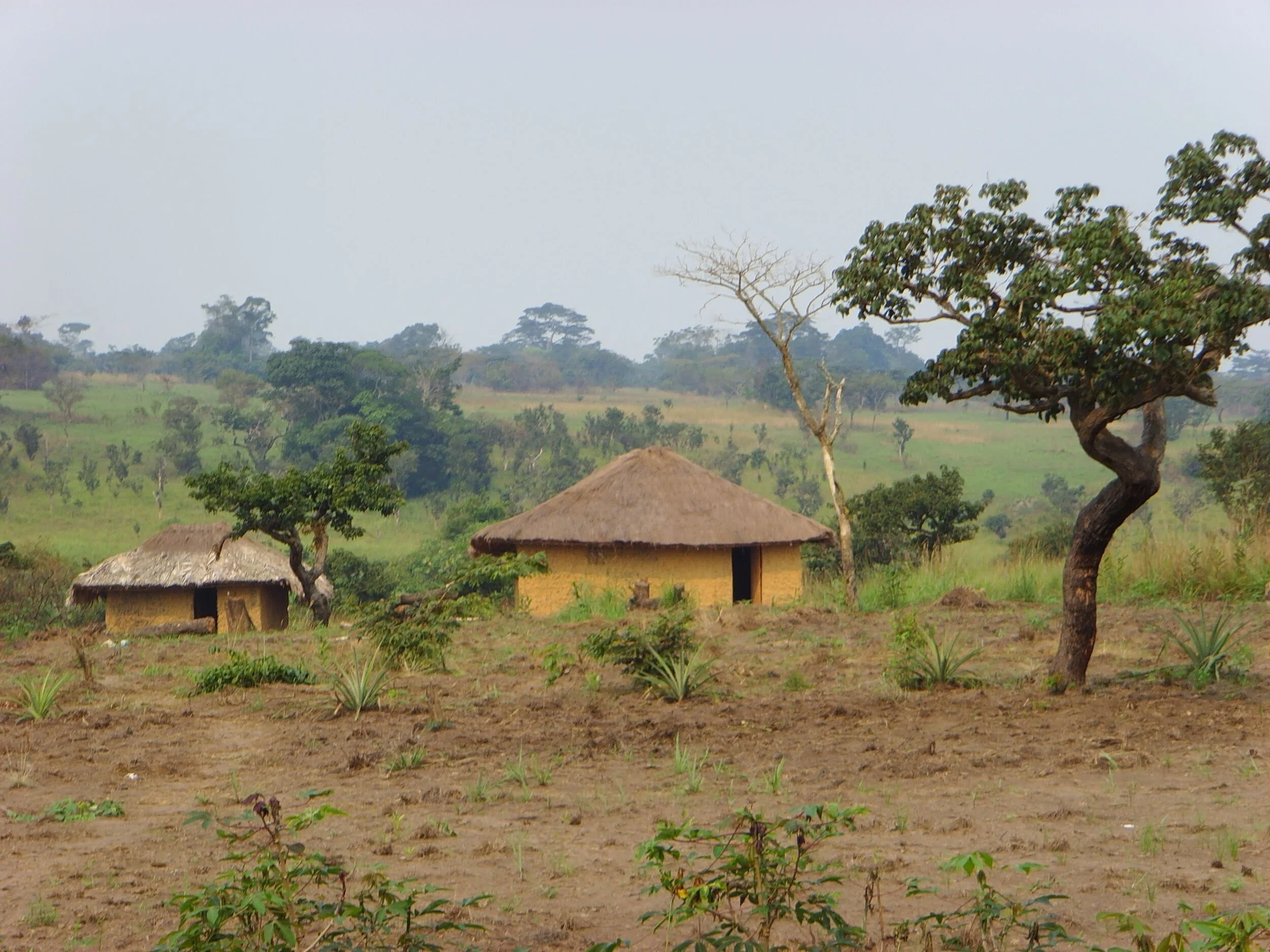 RDC aout 2007 250.jpg