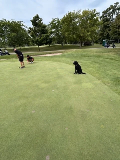 When it cooled down, he came to watch the action on the greens!