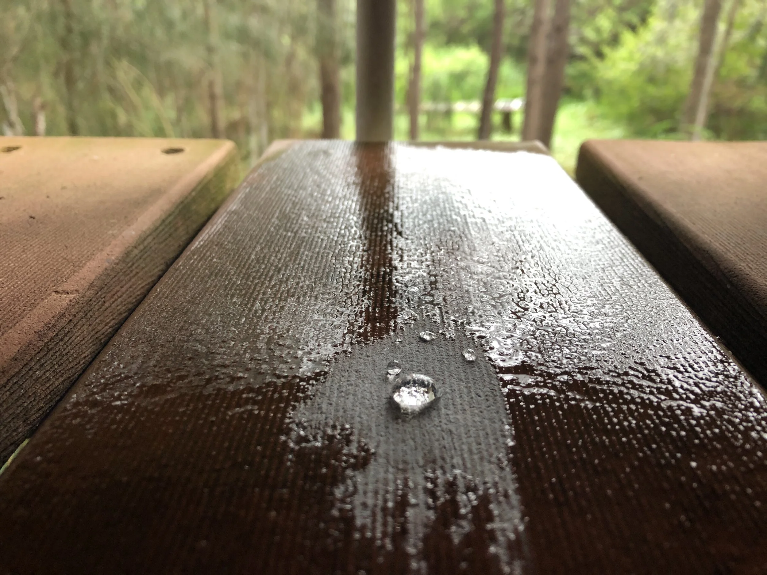 CabinShower.JPG