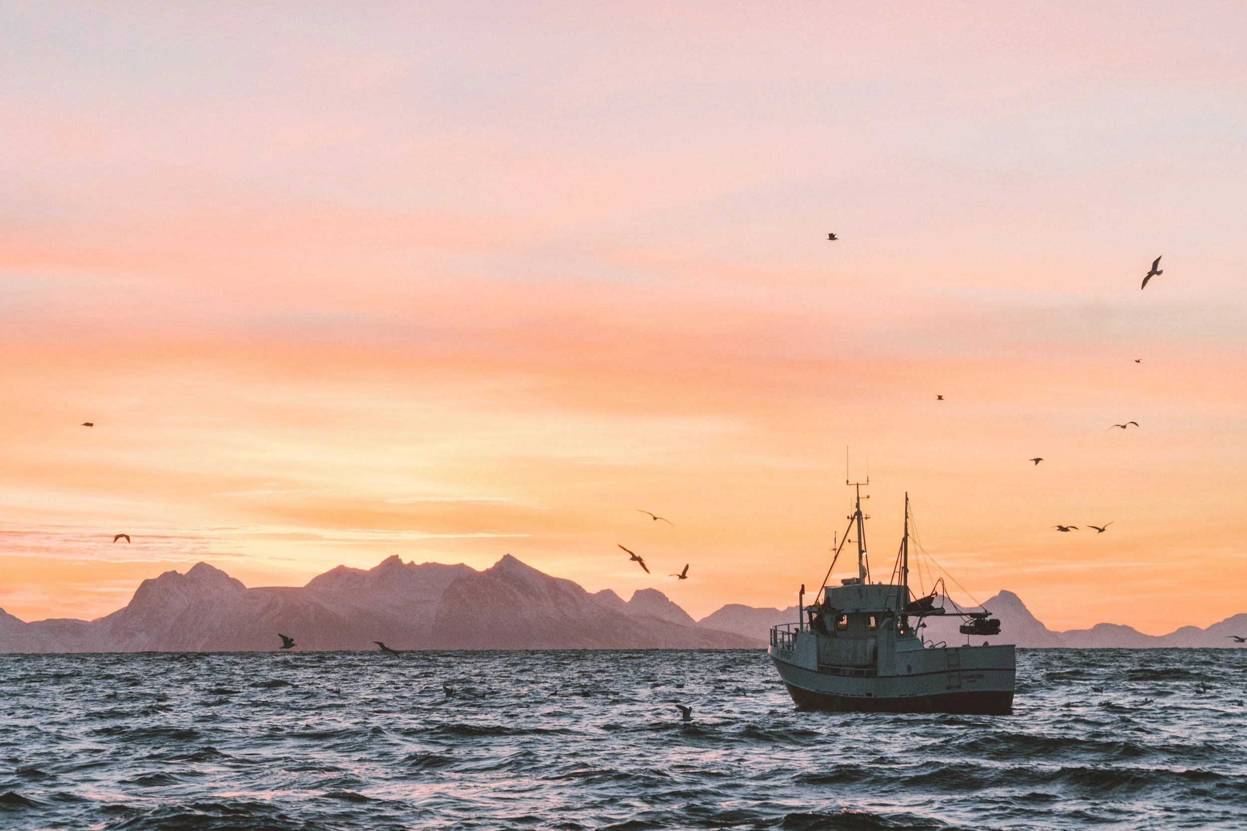 Guests meeting their captain at the bay before sunrise in Humboldt County