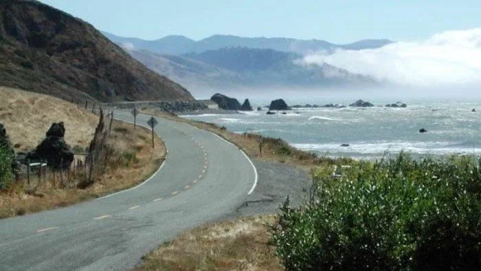 Road through the redwoods leading to Scotia Lodge from the Bay Area