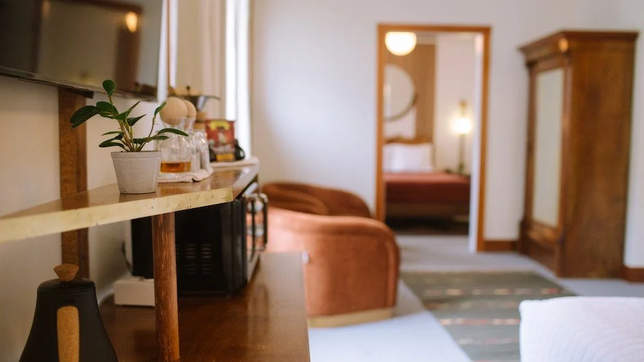 A Pet Friendly Hotel Near the Redwoods: What to Know Before You Visit