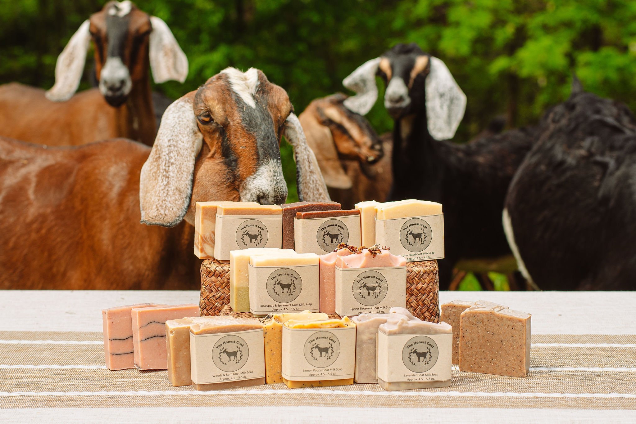 Goat Milk Soap Sample Bundle — The Honest Goat