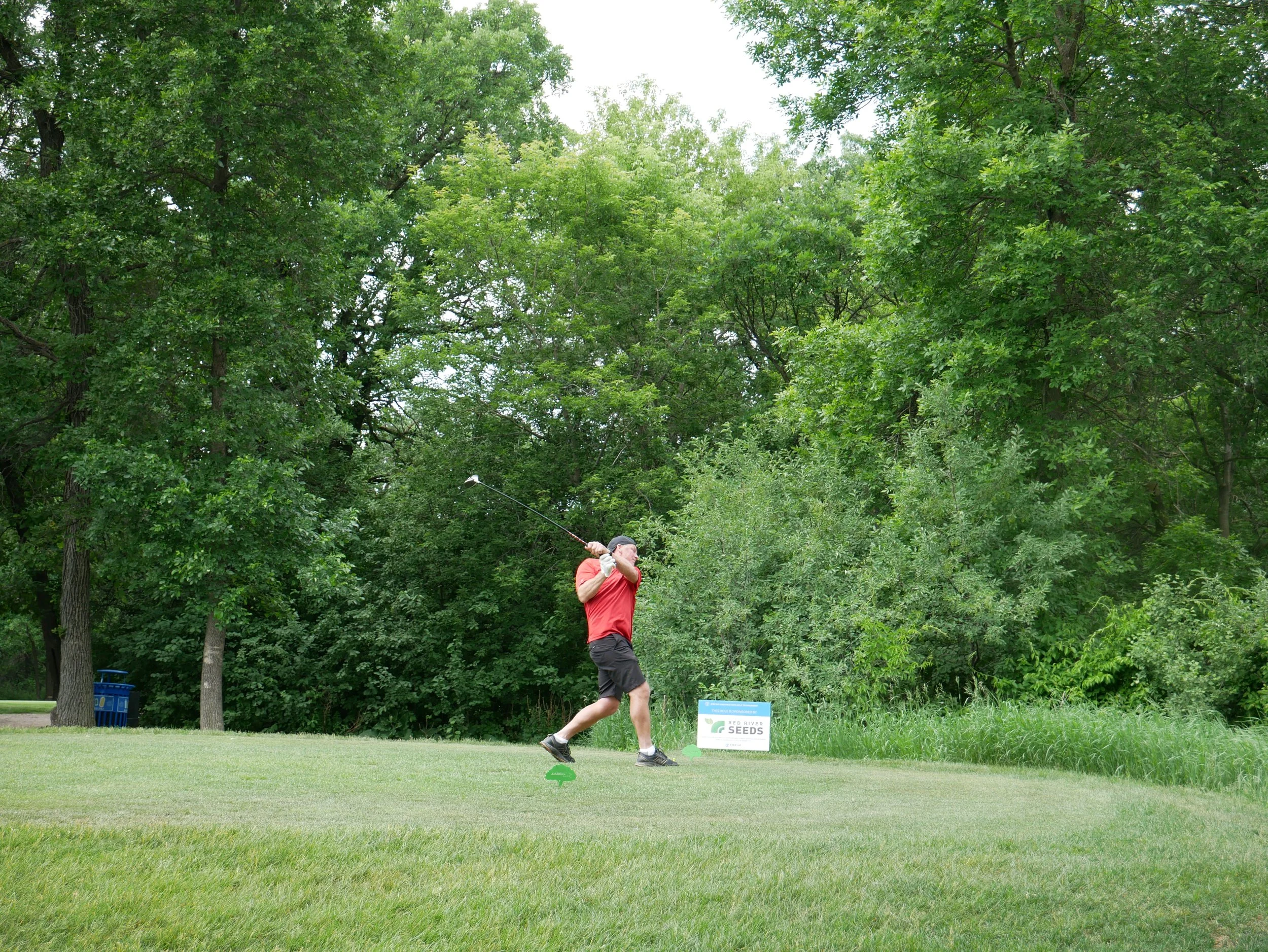 A man in a red shirt and black shorts playing golf, swinging a club on a lush green golf course during daytime with trees in the background.