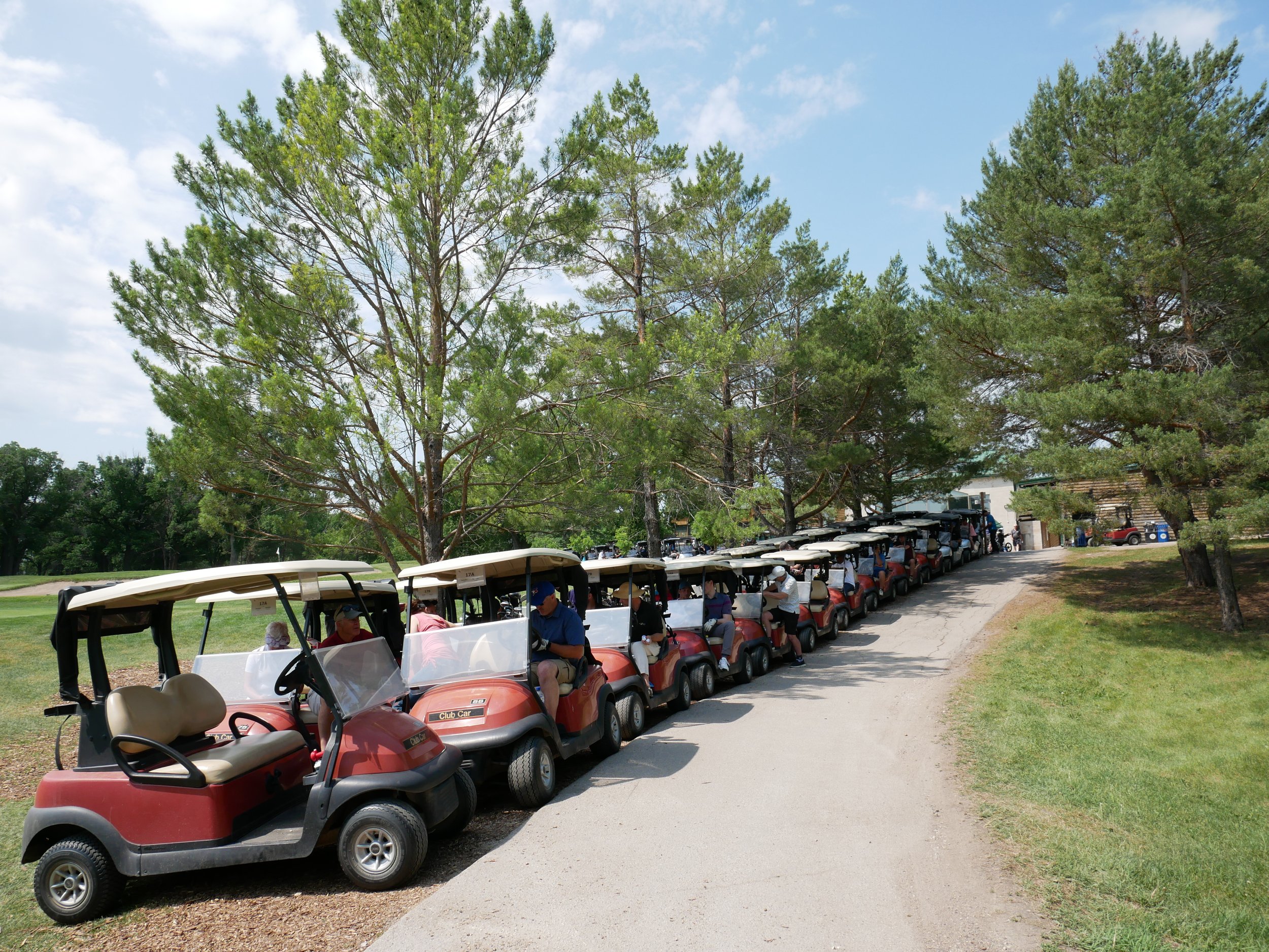 A line of red golf carts parked along a paved path next to green grass and tall trees on a sunny day.