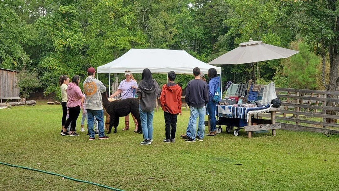 Don't fear the rain! We're open until 5pm for #nafd unless the rain turns into a downpour!
 #BuddysAlpacaFarmLLC #alpacas #agritourism #douglasvillega #homegrownbyheroes #georgiagrown #alpacaownersassociation #nafd #nafd2022