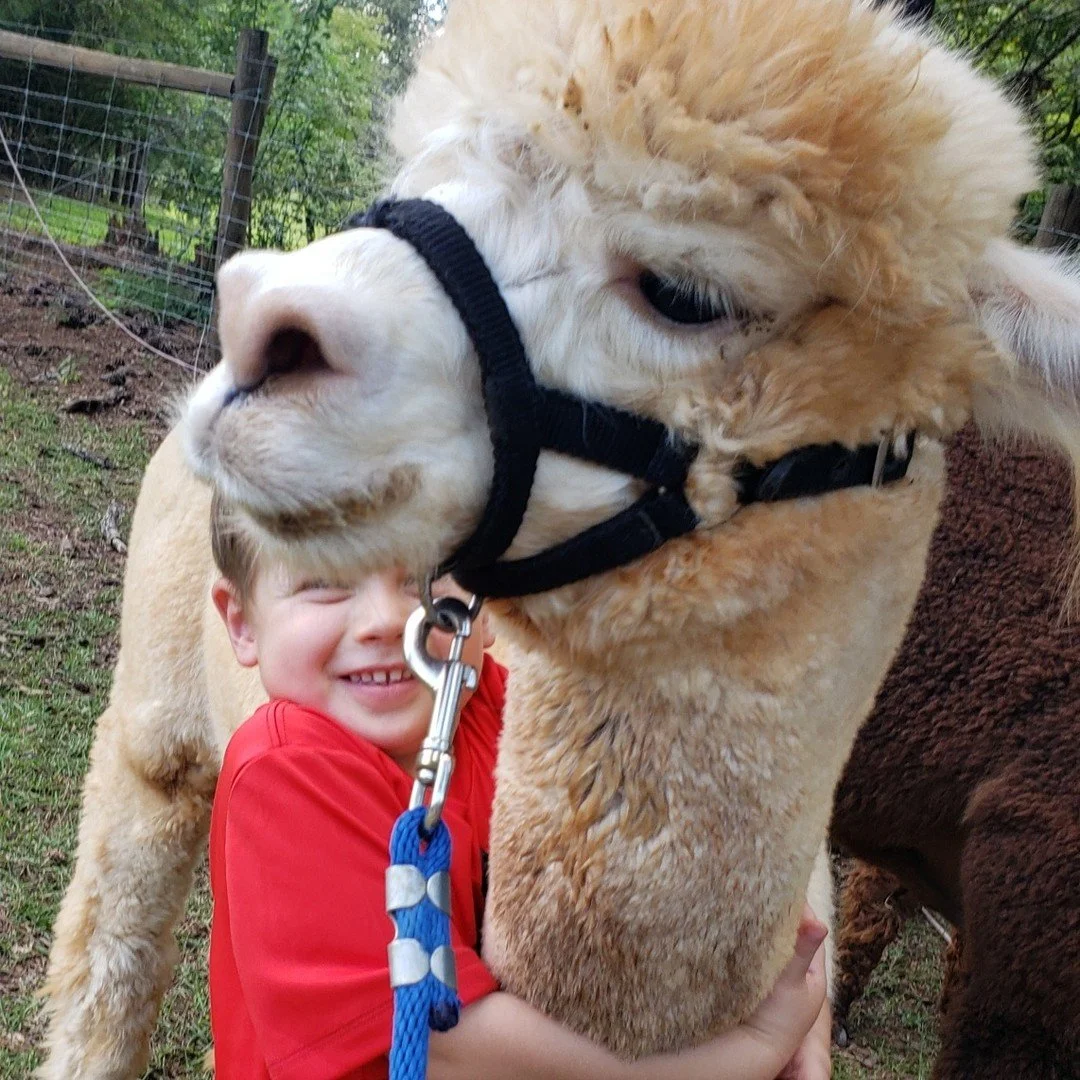 FREE! FREE! FREE! (Donations accepted)
National Alpaca Farm Days September 24th and 25th  11-5pm

Celebrate National Alpaca Farm Days and our 1 year anniversary!
A fun-filled day for the entire family. Buddy's is welcoming visitors of all ages during