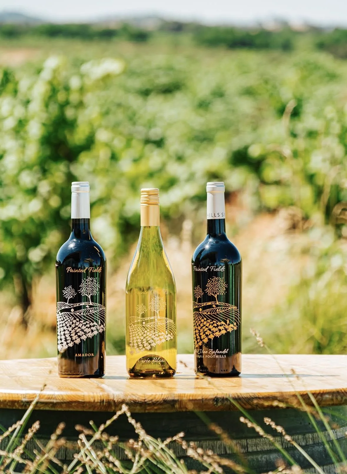 Weekly Tasting: Andis Winery, Sierra Foothills