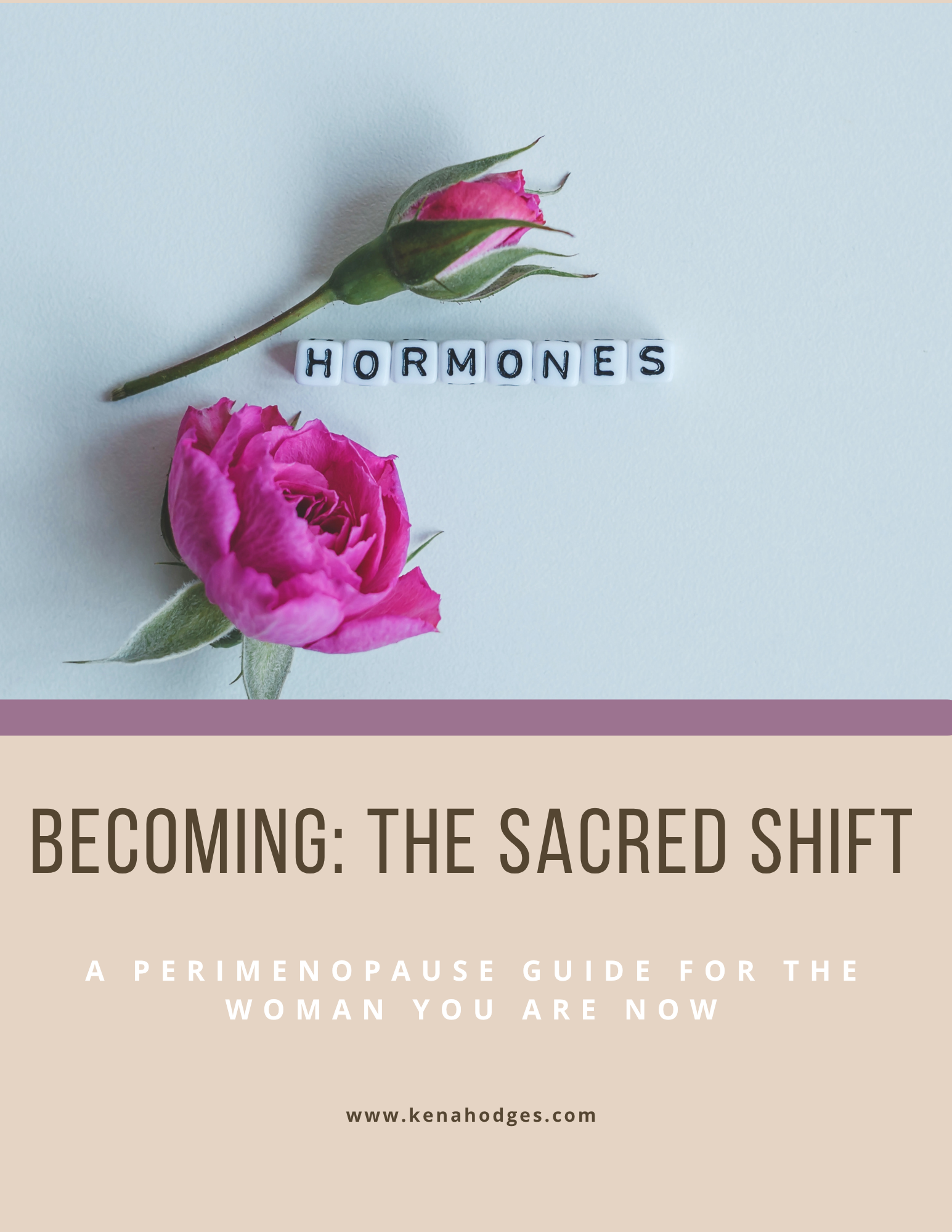 Perimenopause Protocol - Cover 1.png