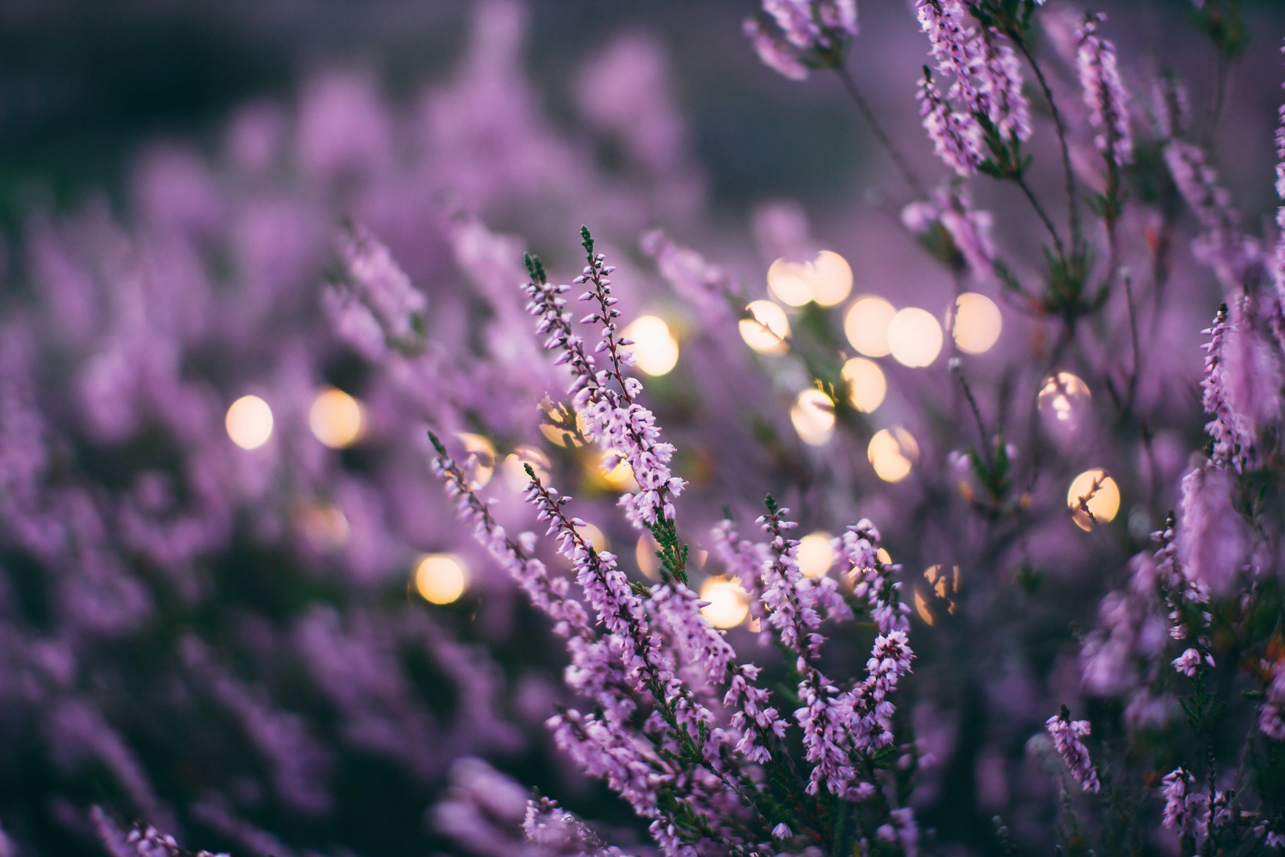 Benefits of Essential Oils