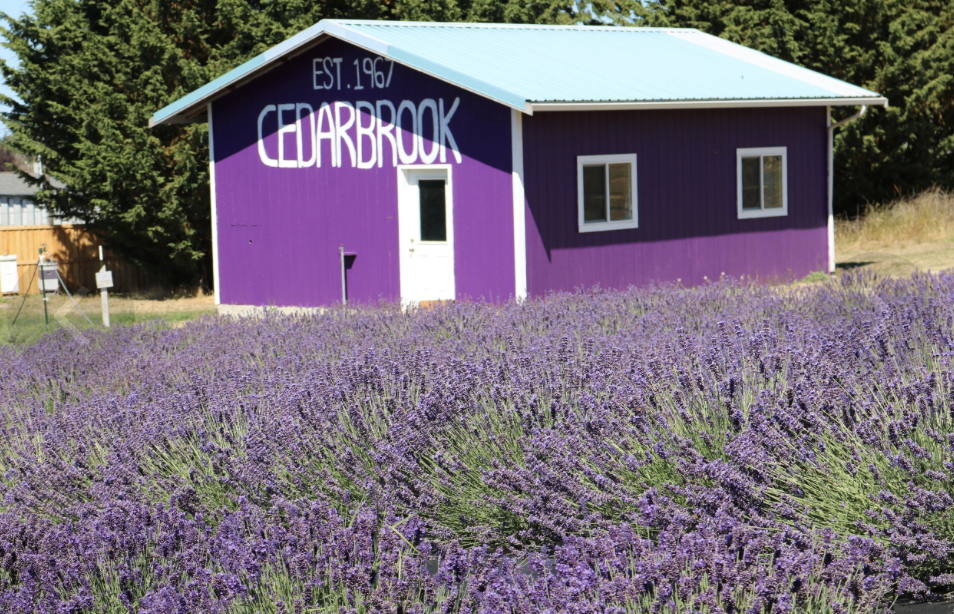 July is in Full Bloom—Breathe It All In!