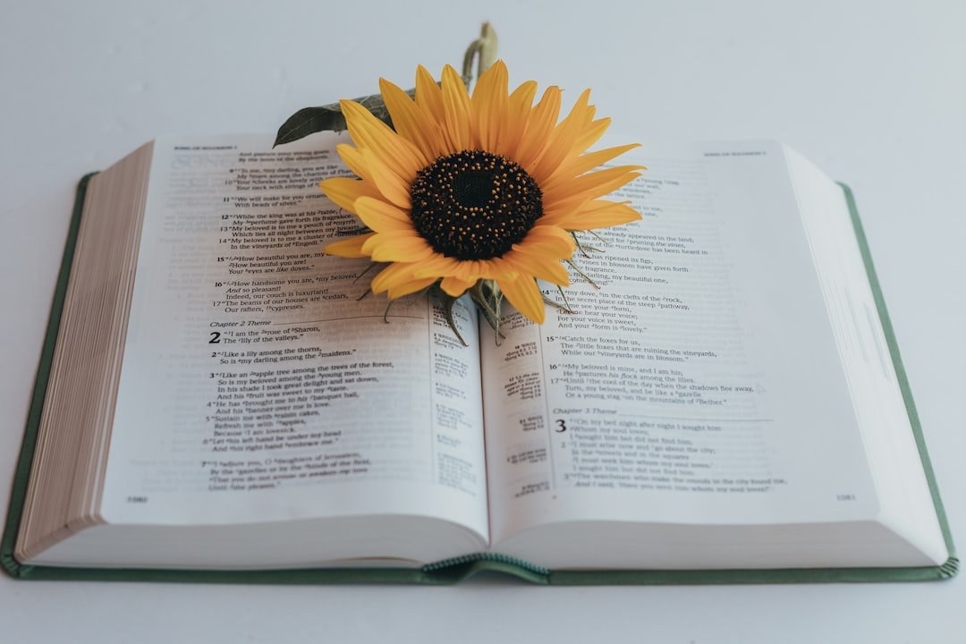 unsplash-image-2BK0V3aJS20.jpg