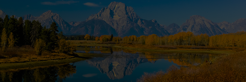 usaheader.png