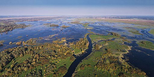 The Importance of Wetlands
