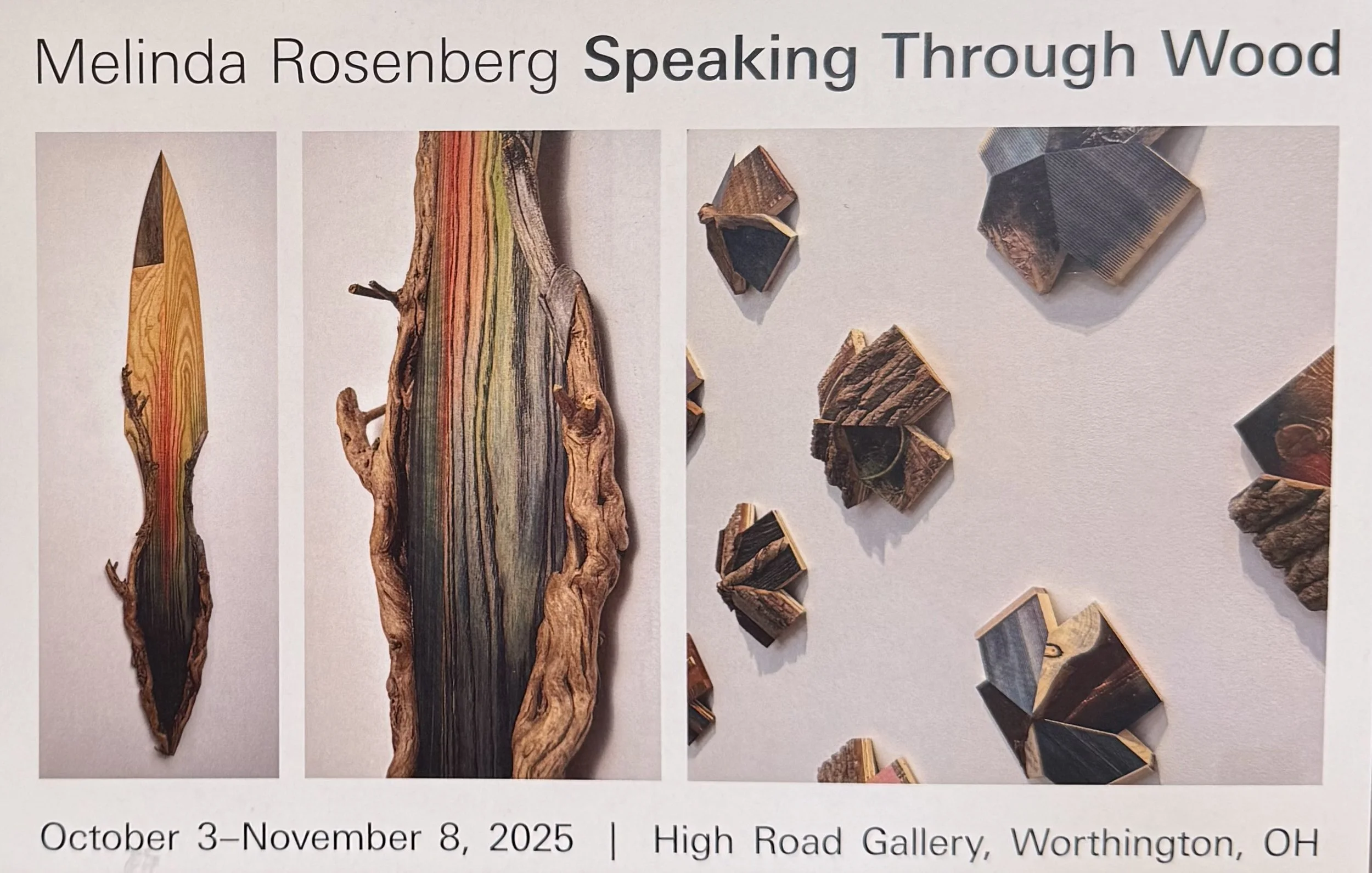 "Speaking Through Wood" Reception