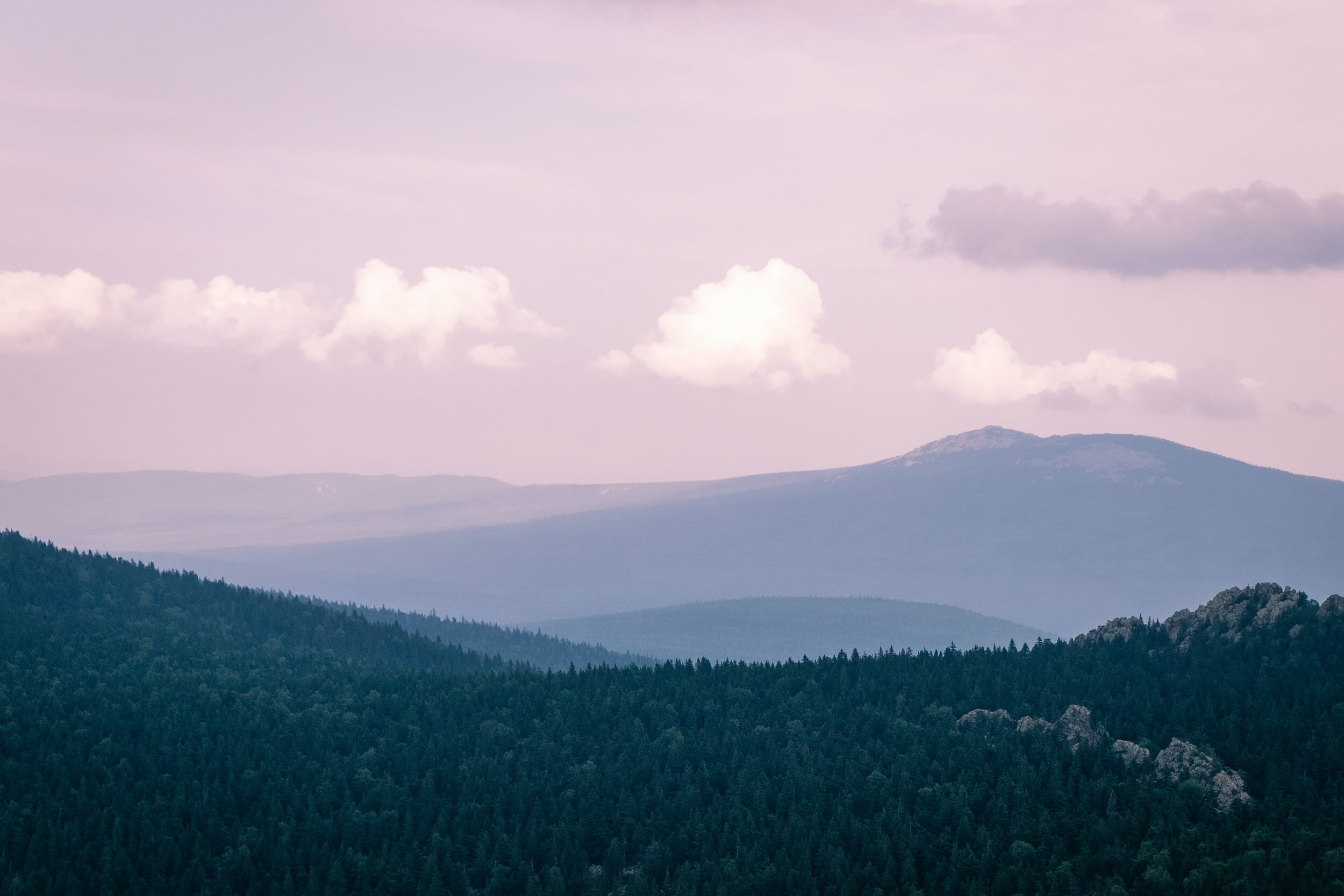 unsplash-image-ms7GRs97bIs.jpg