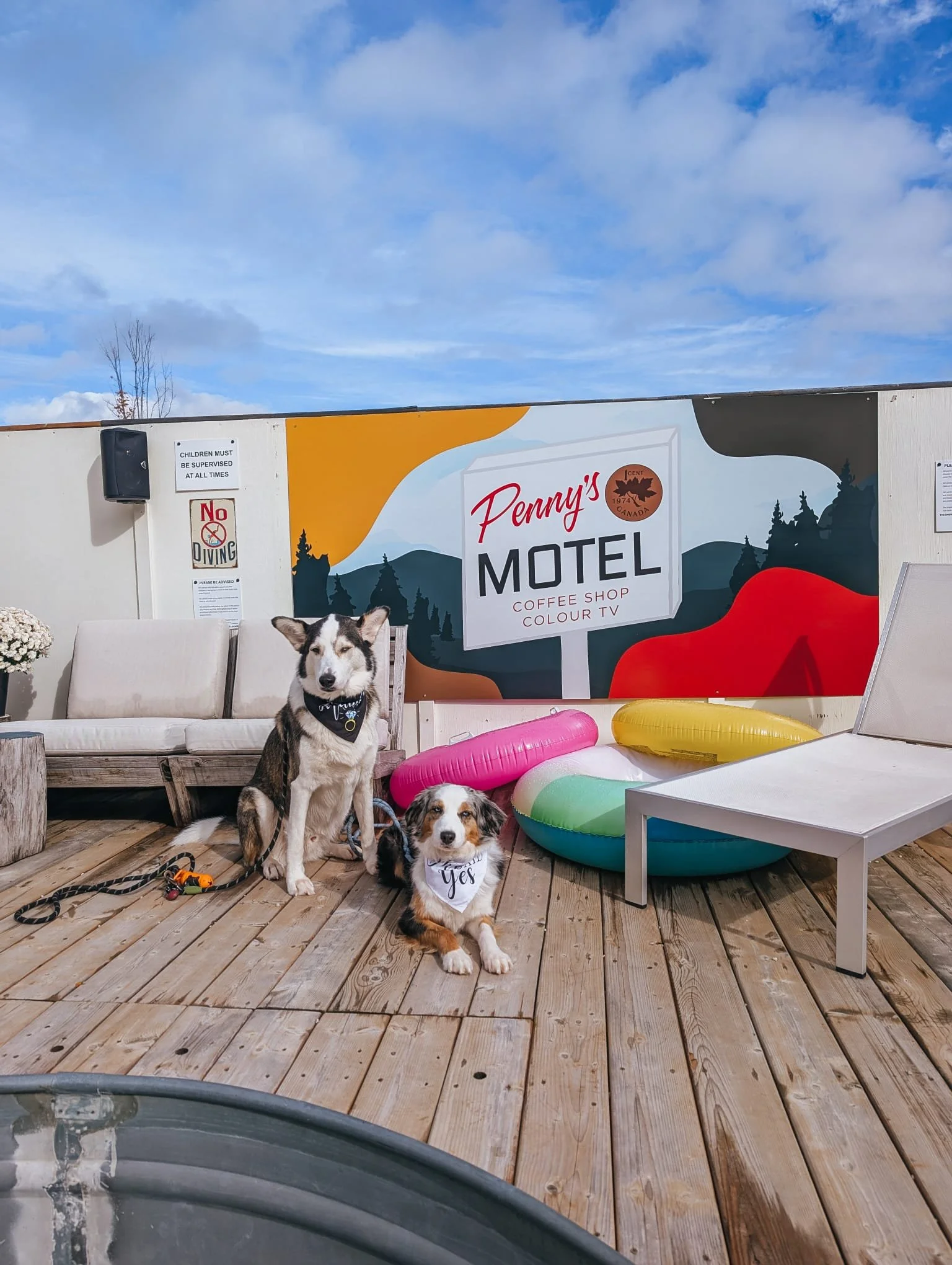 Two dogs sitting on a wooden deck in front of a colorful mural at Penny's Motel. One dog is black and white with a bandana, and the other is a smaller Australian Shepherd with a bandana that says 'Yes'. There are pool floats and outdoor furniture around.